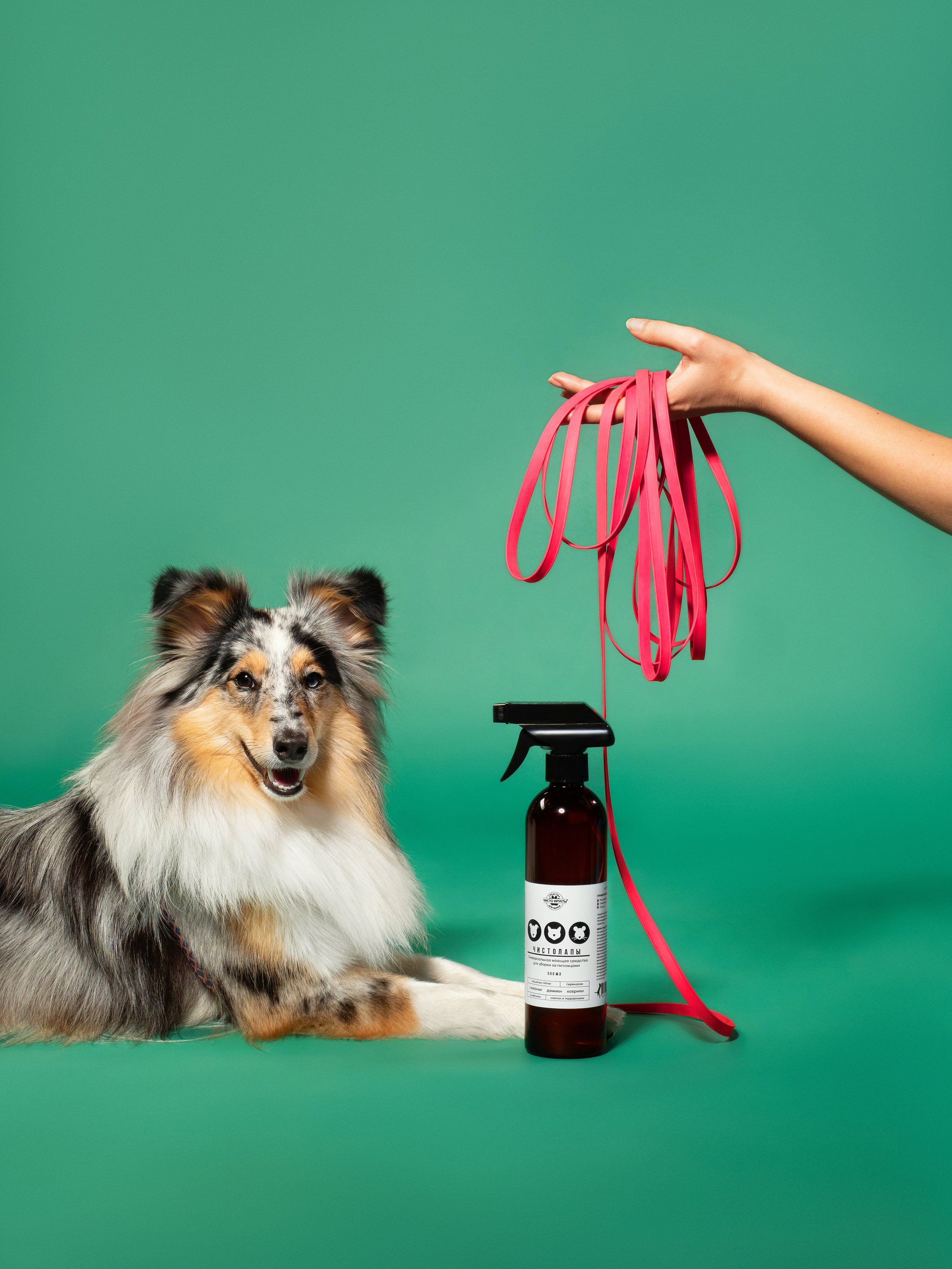 Рекламная съёмка. Фотограф животных и людей в Санкт-Петербурге Дарья Быстрицкая