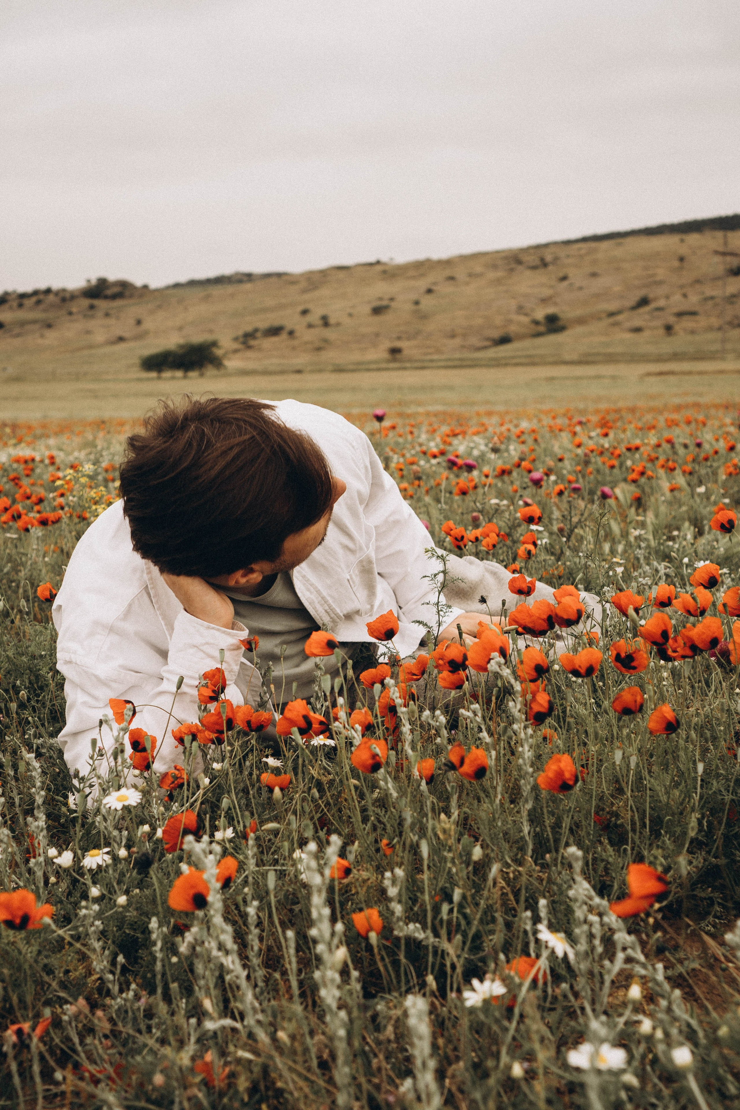 Маки. Профессиональный фотограф, Санкт-Петербург — Виктория Богомолова
