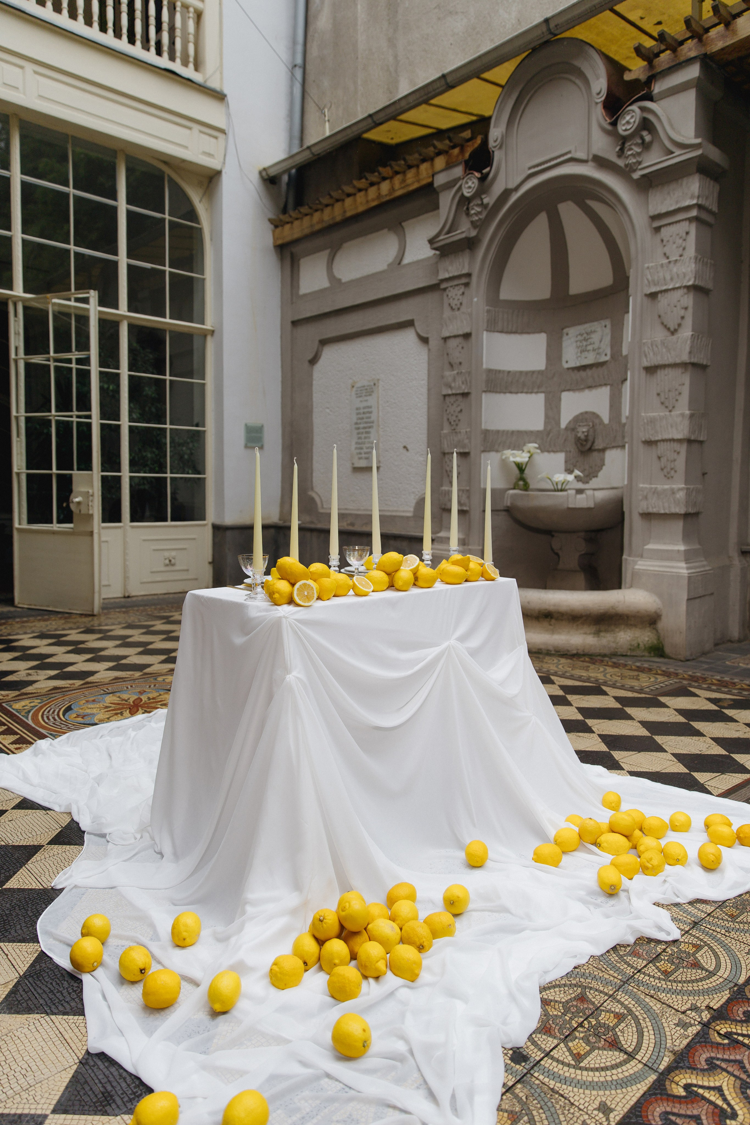 Lemons. Anastasiya Krasnyuk