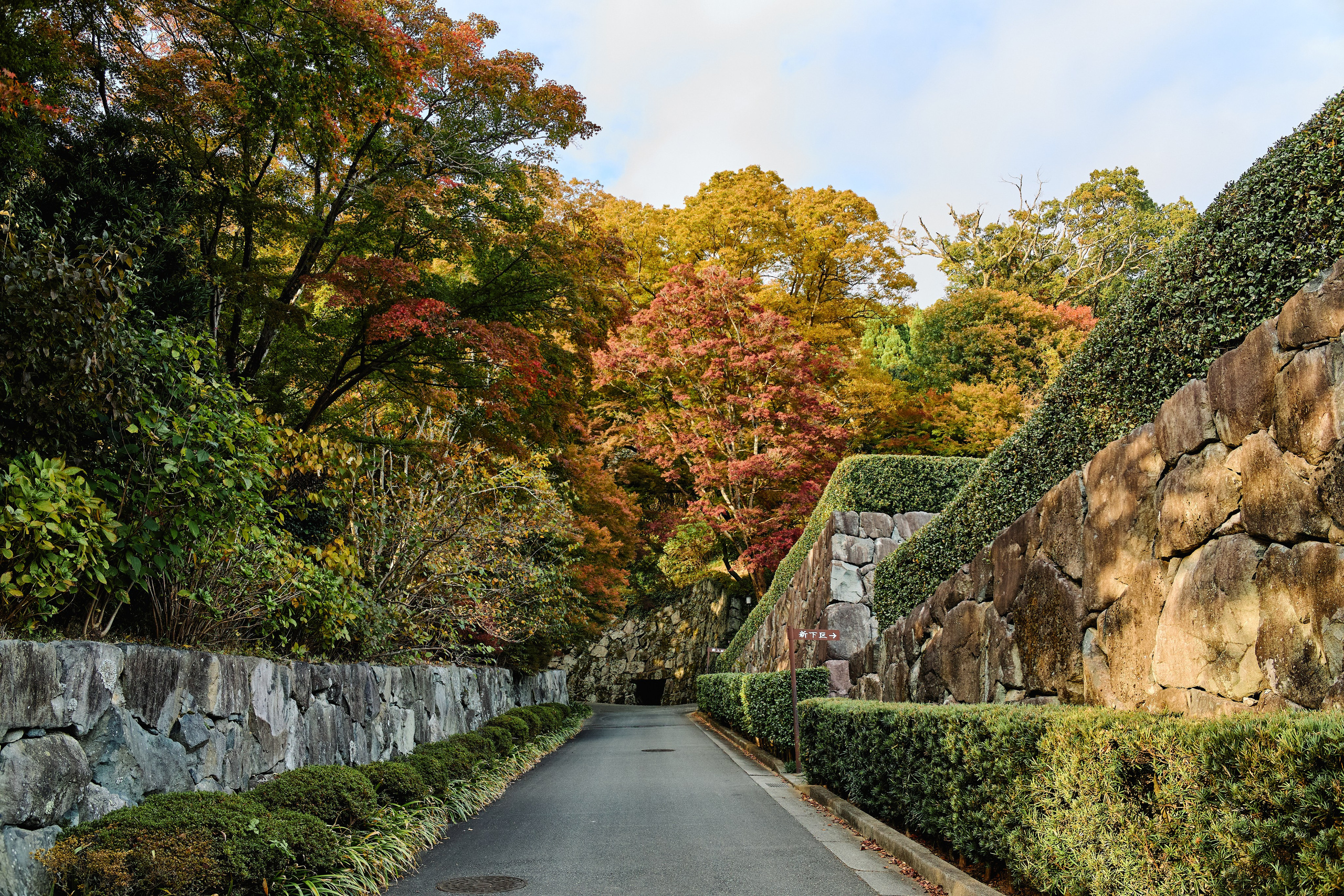 Япония. Профессиональный Фотограф во Владимире, в Москве и в Суздале — Полина Романычева