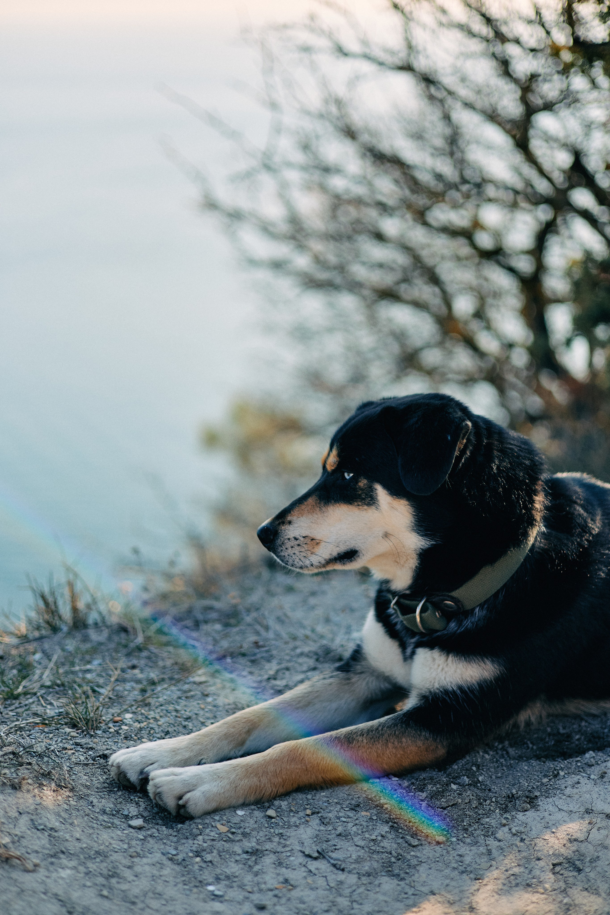 Юг России. Профессиональный Фотограф во Владимире, в Москве и в Суздале — Полина Романычева