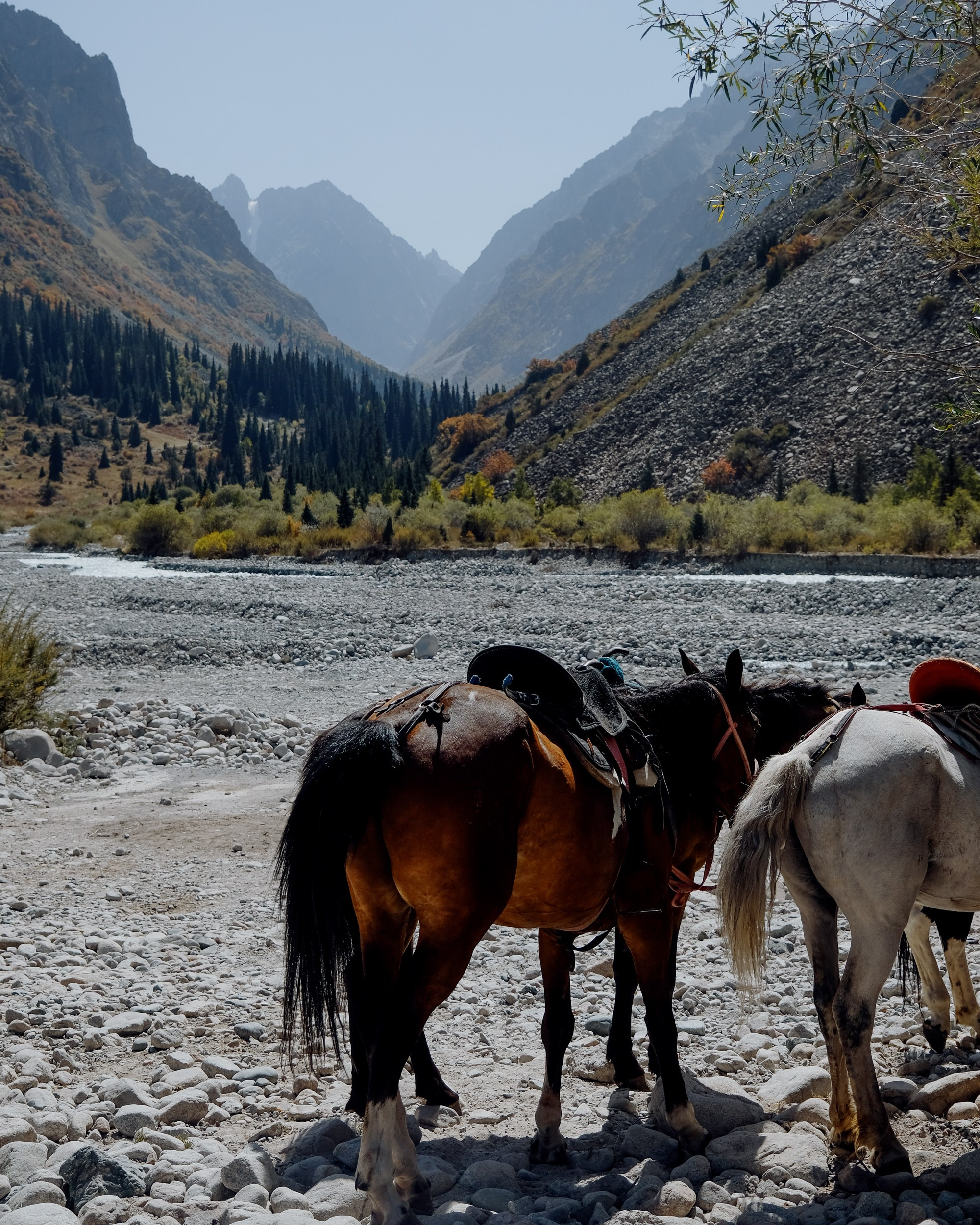 Кыргызстан. Фотограф Дмитрий Олрайт | Калуга, Россия