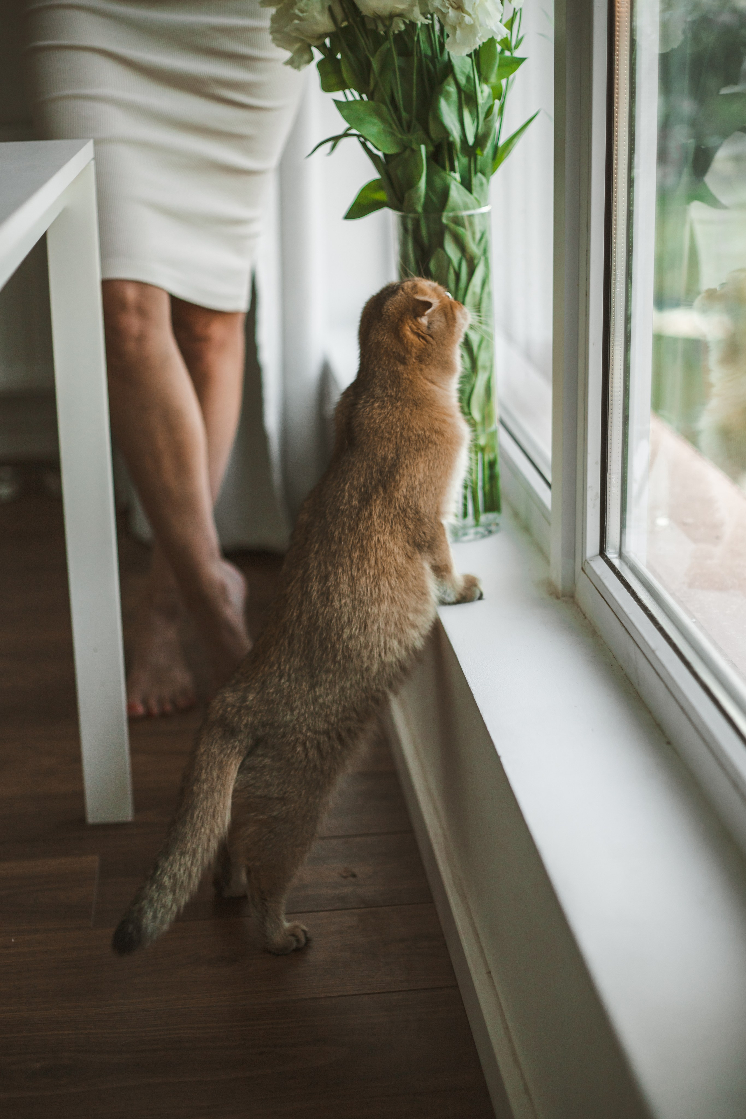 Когда в семье появился ещё один человечек…)) <3. Фотограф Сочи, Адлер, Красная Поляна — Вероника Радченко