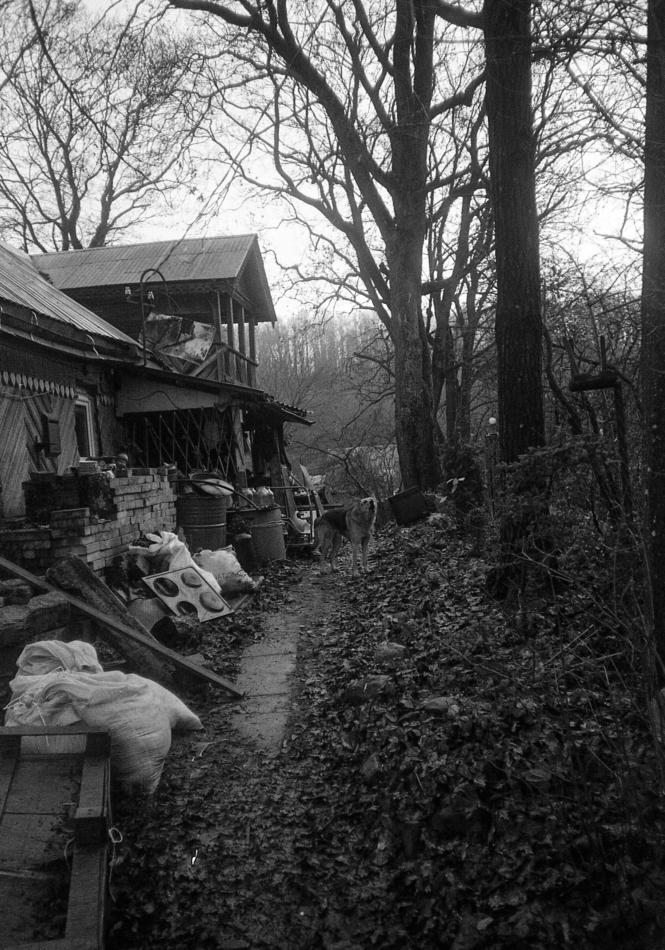 Окраины. Works