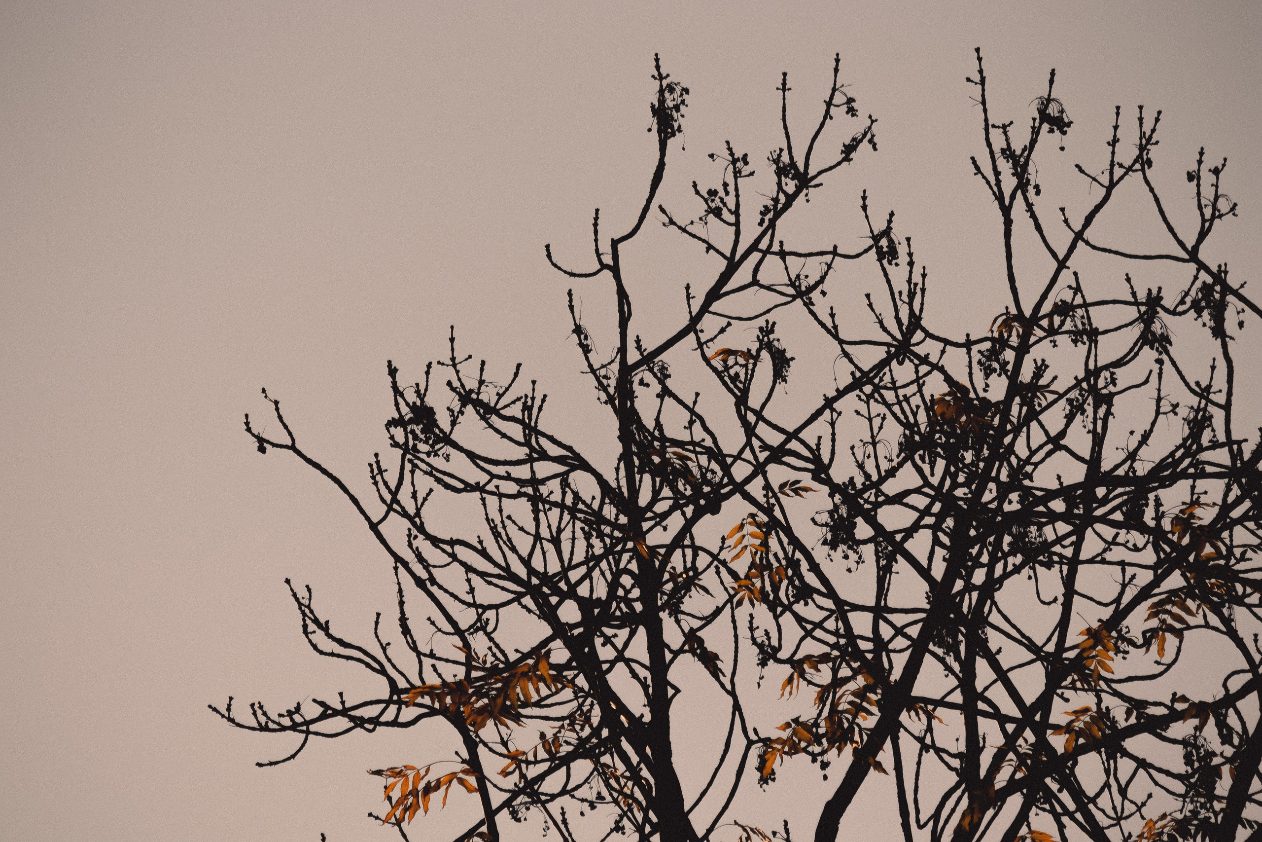 М И Н И М А Л И З М. — Digital Noise —