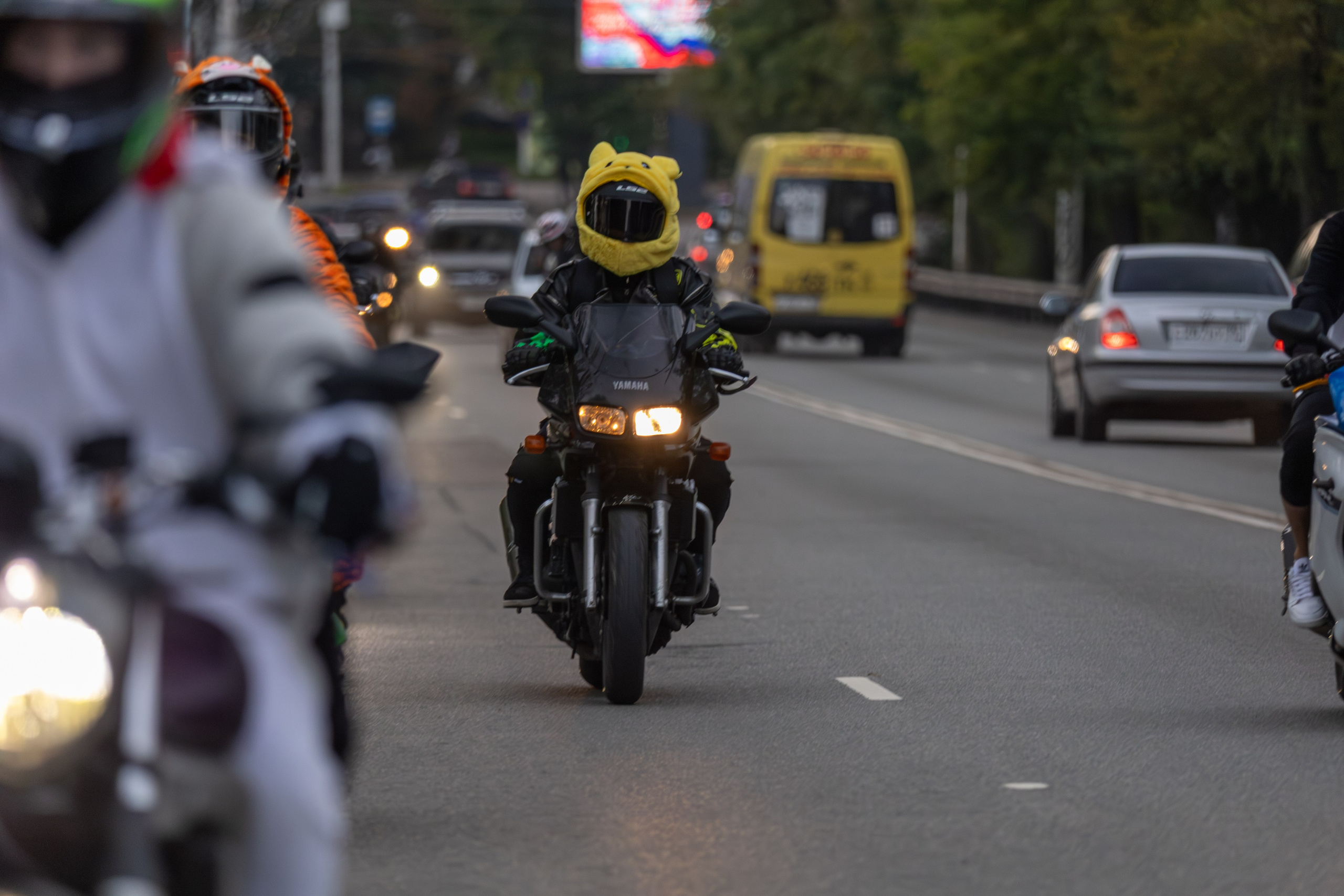 Закрытие Летнего сезона — 2025. — Digital Noise —