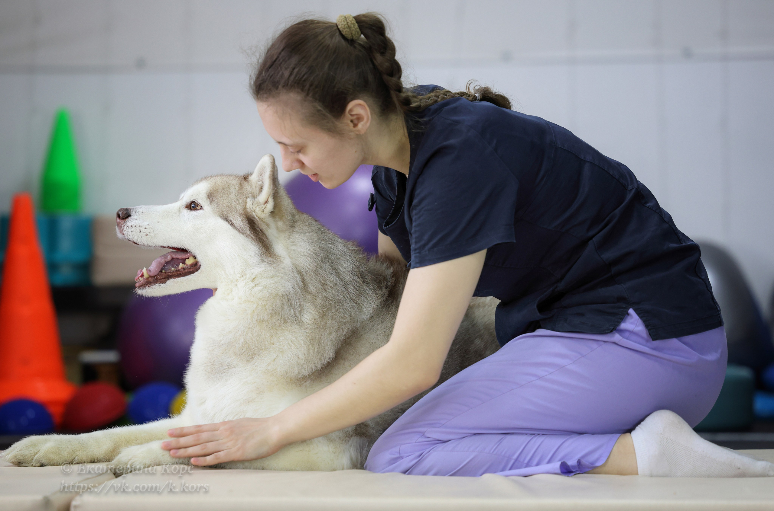 Собаки и люди. Главная