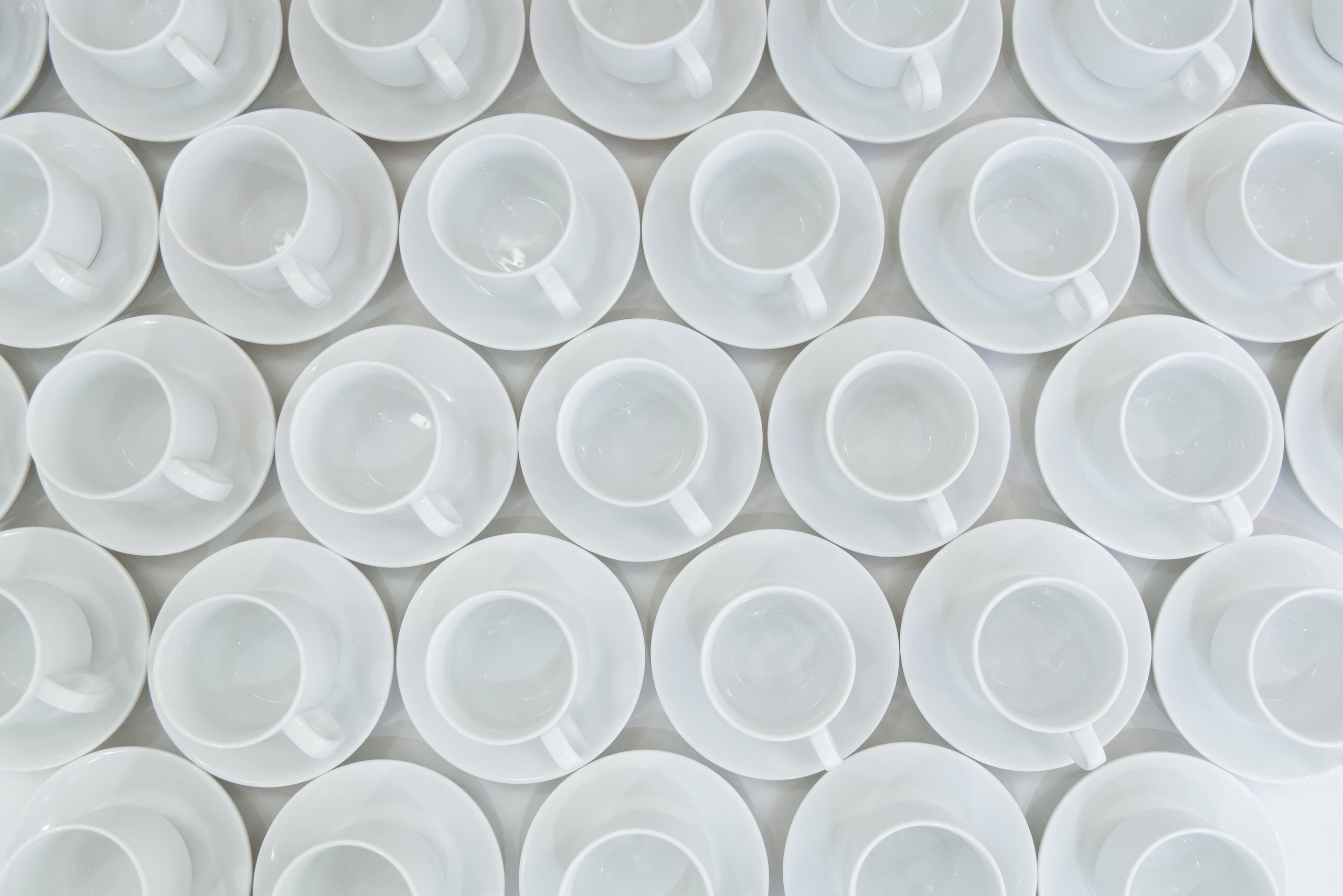 Михаил и Екатерина. Портфолио