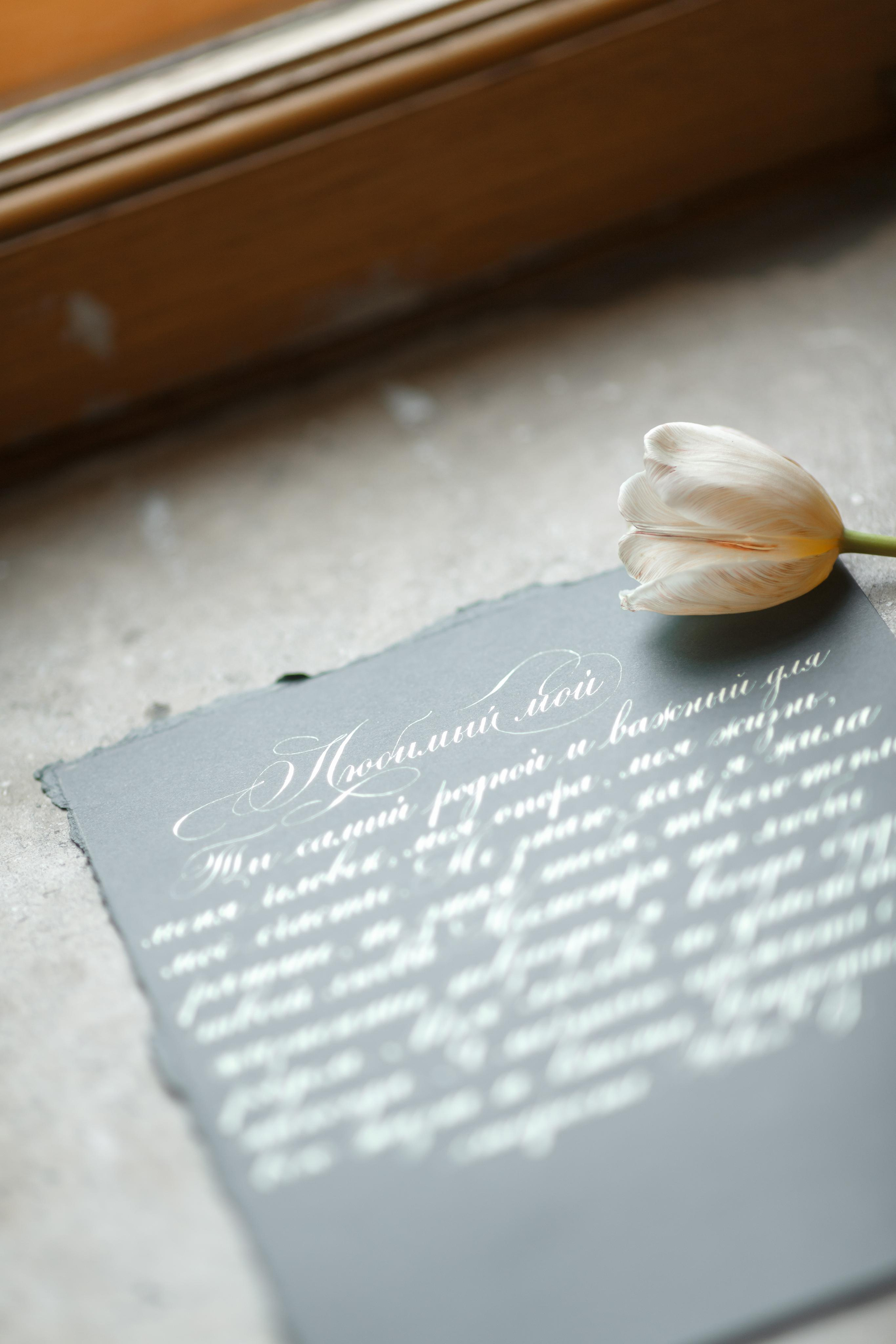 Рэйн и Анастасия. Портфолио