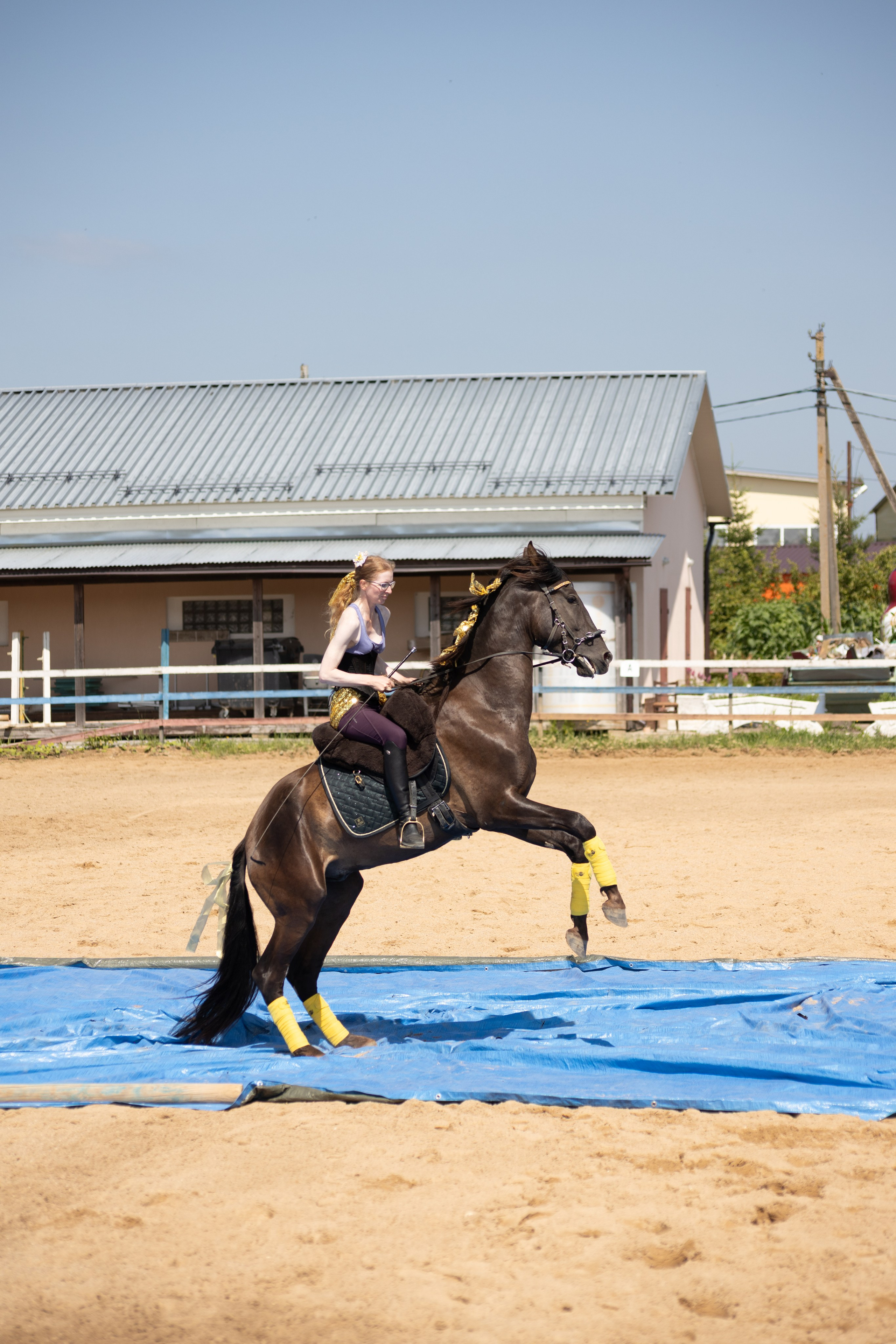 Конюшня. Фотограф в Москве и Истре