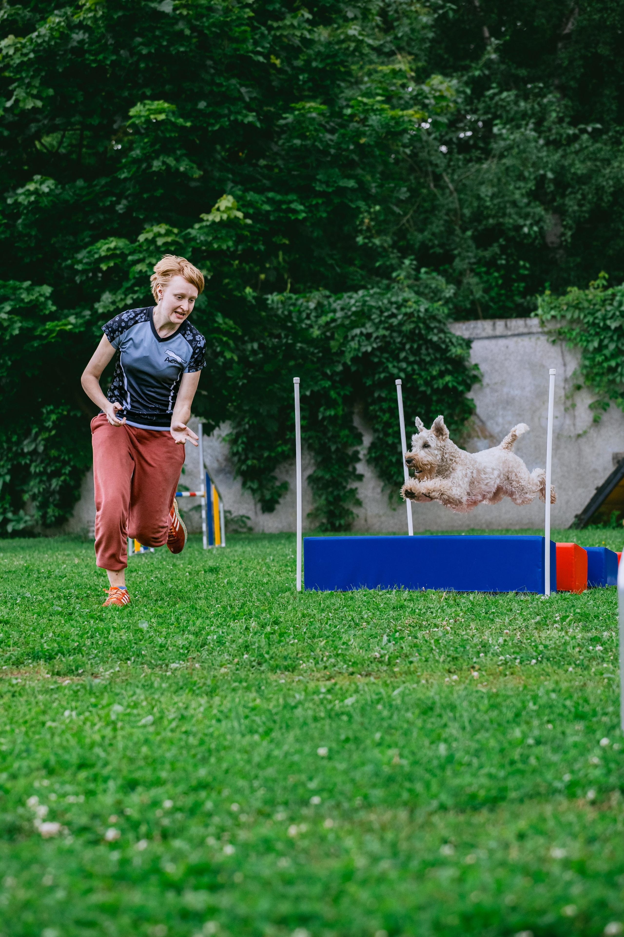 Соревнования по аджилити Долгопрудный 30.06.2025. Фотограф-анималист Татьяна Степанова