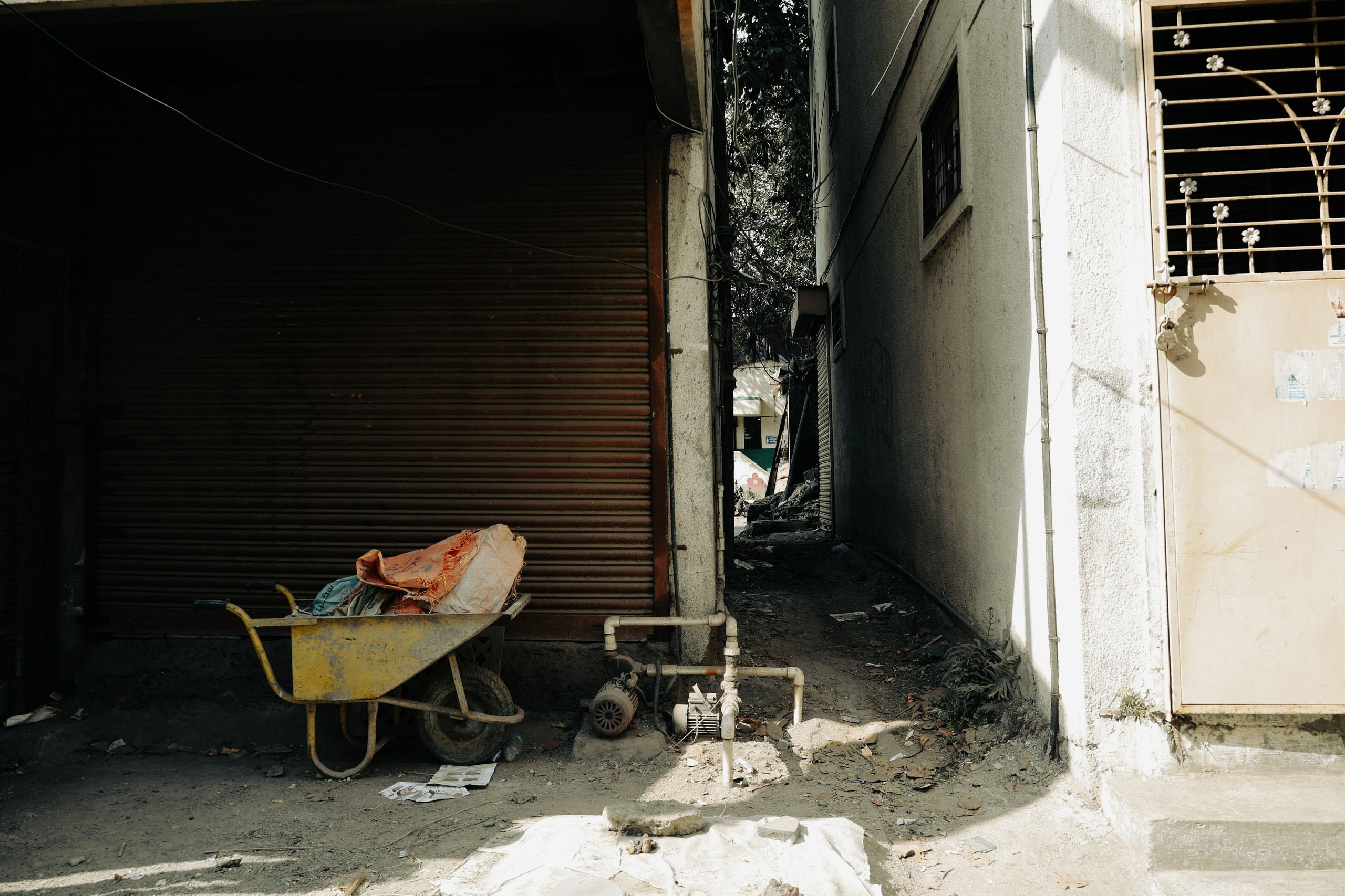 India. Фотограф в Москве