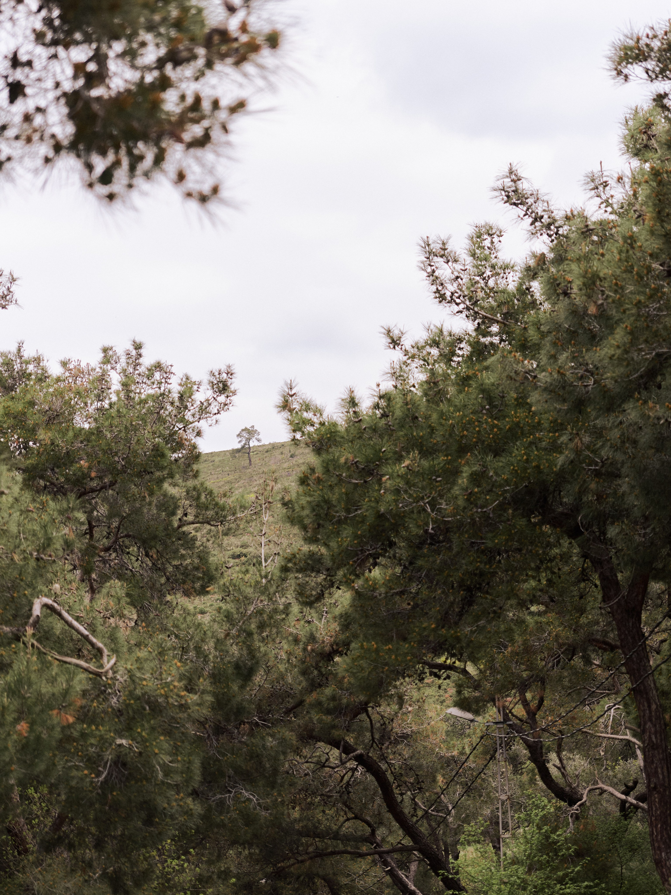 Диптих. Jorgis — фотограф в Хургаде / обучение фотографии