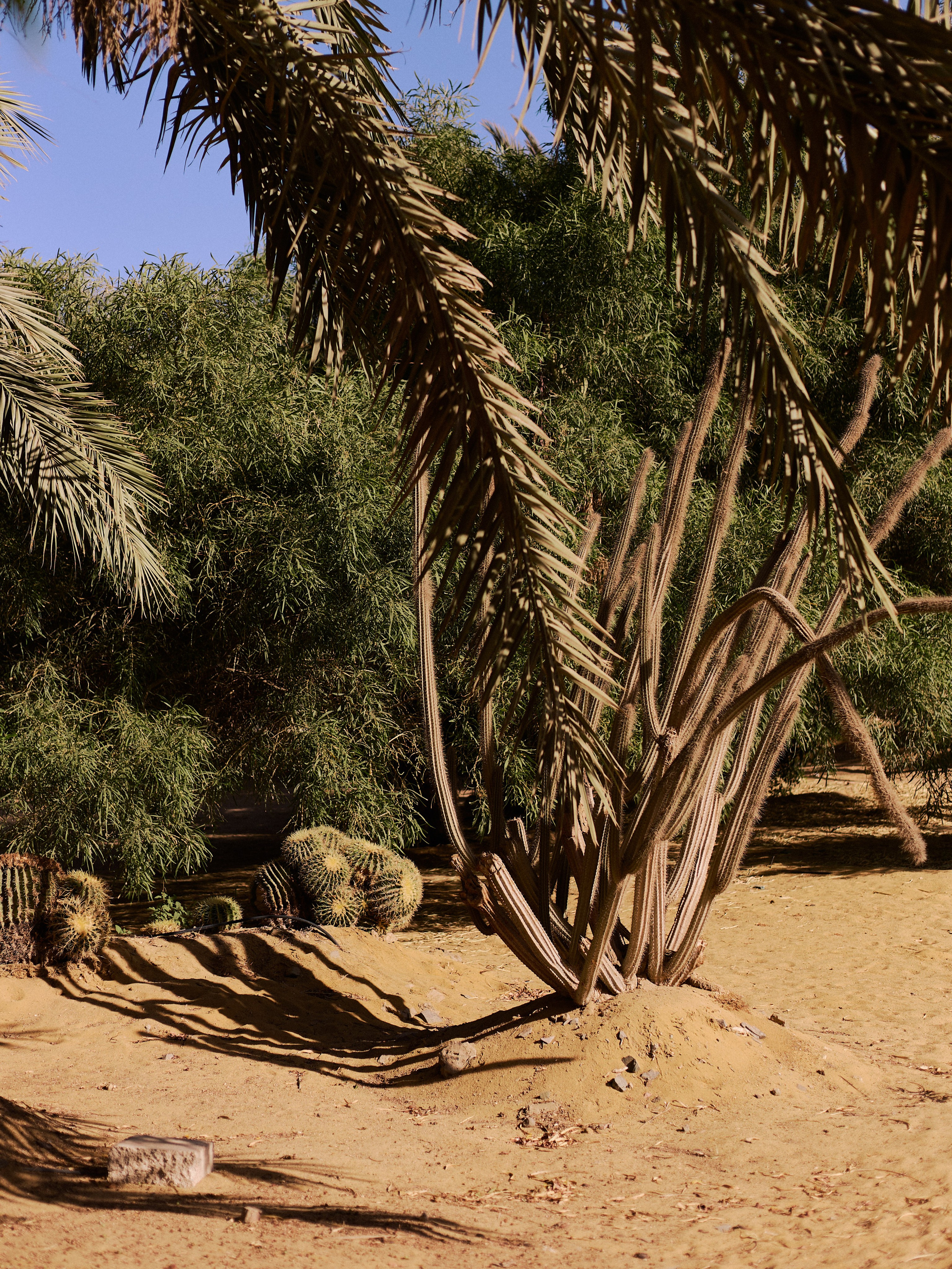 Другое 2. Jorgis Talè — photographer, kind person, teacher of arts and other mag