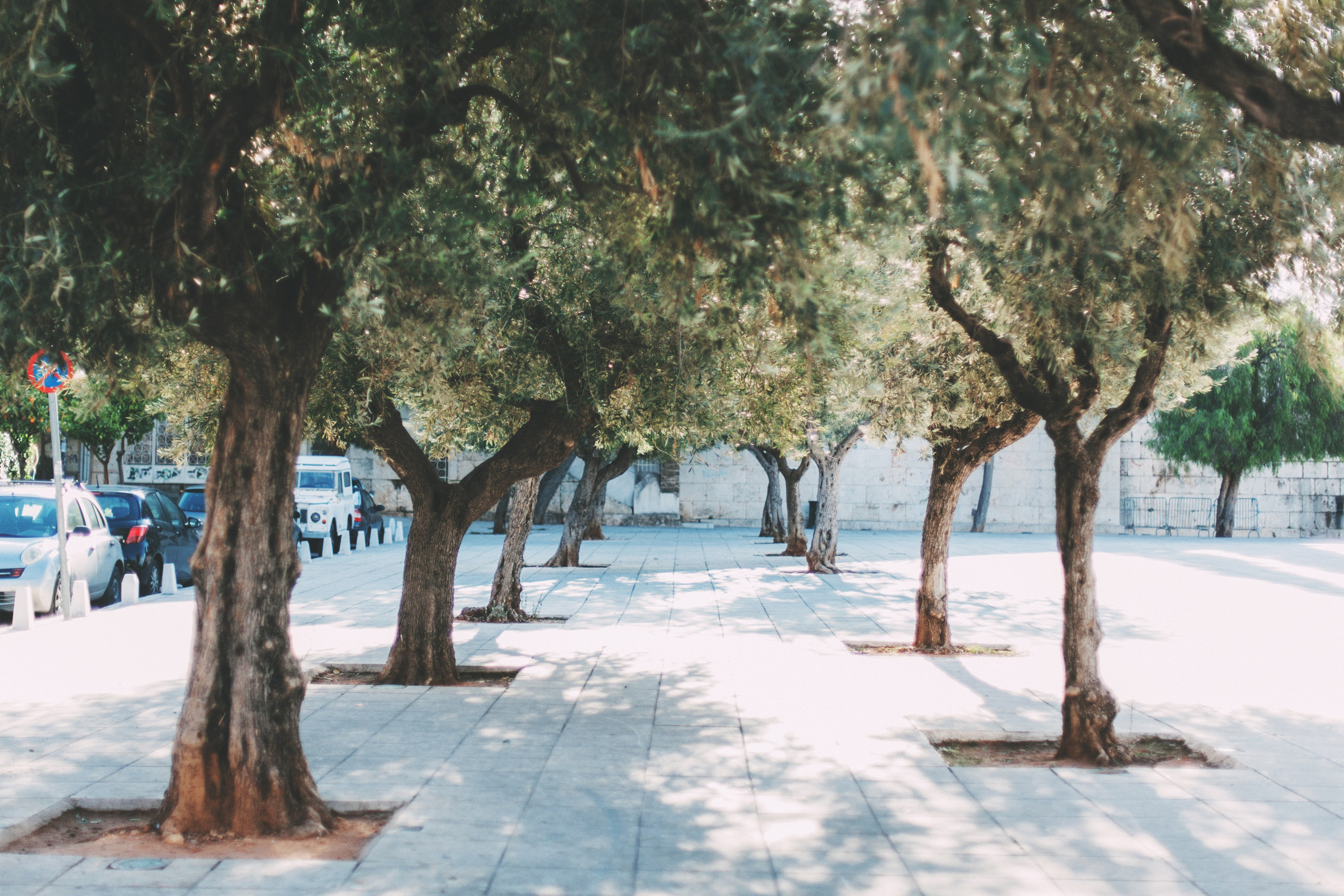 Афины. Аня Степанова