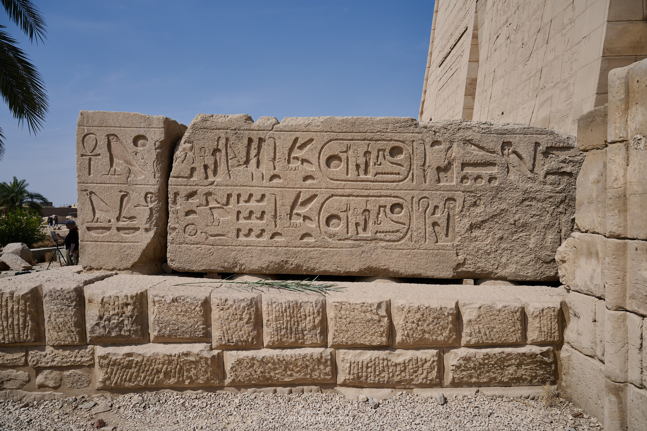 Луксор. Февраль 2025. Фотограф Роман Адлер