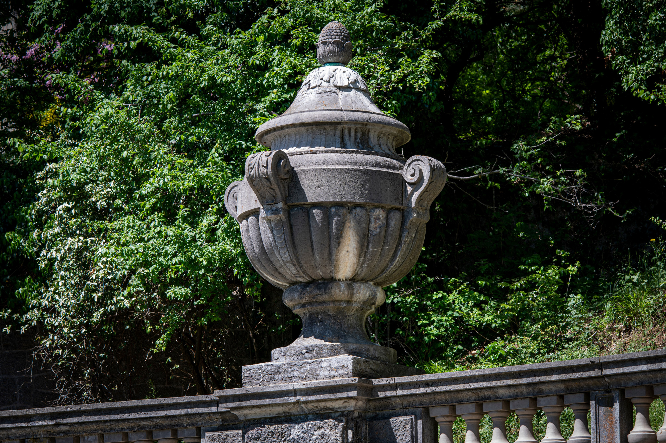 Крым май 2022. Фотограф Роман Адлер