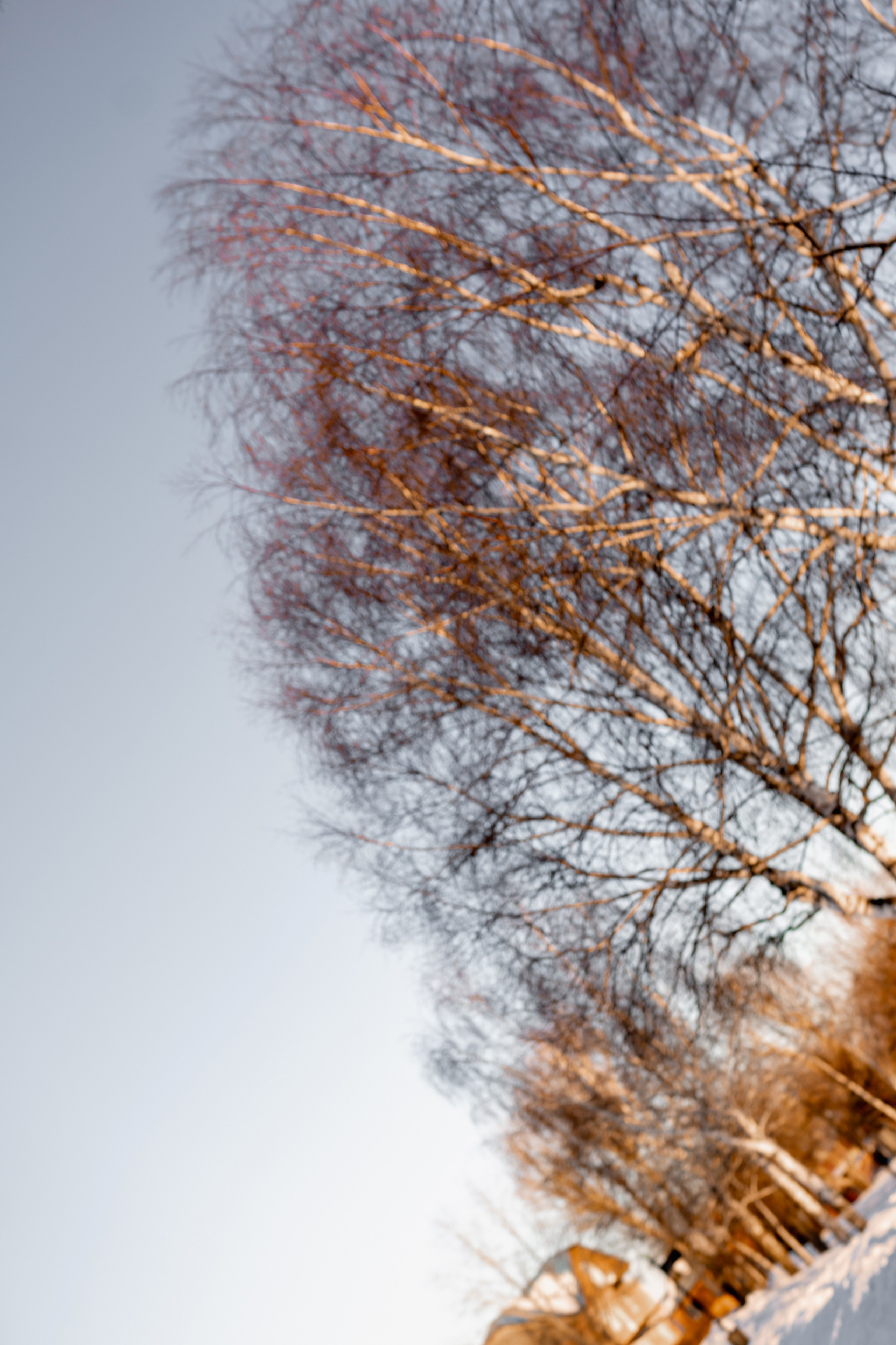 Зимняя фотосессия в русском стиле. Фотограф Ким Наталья в Красноярске