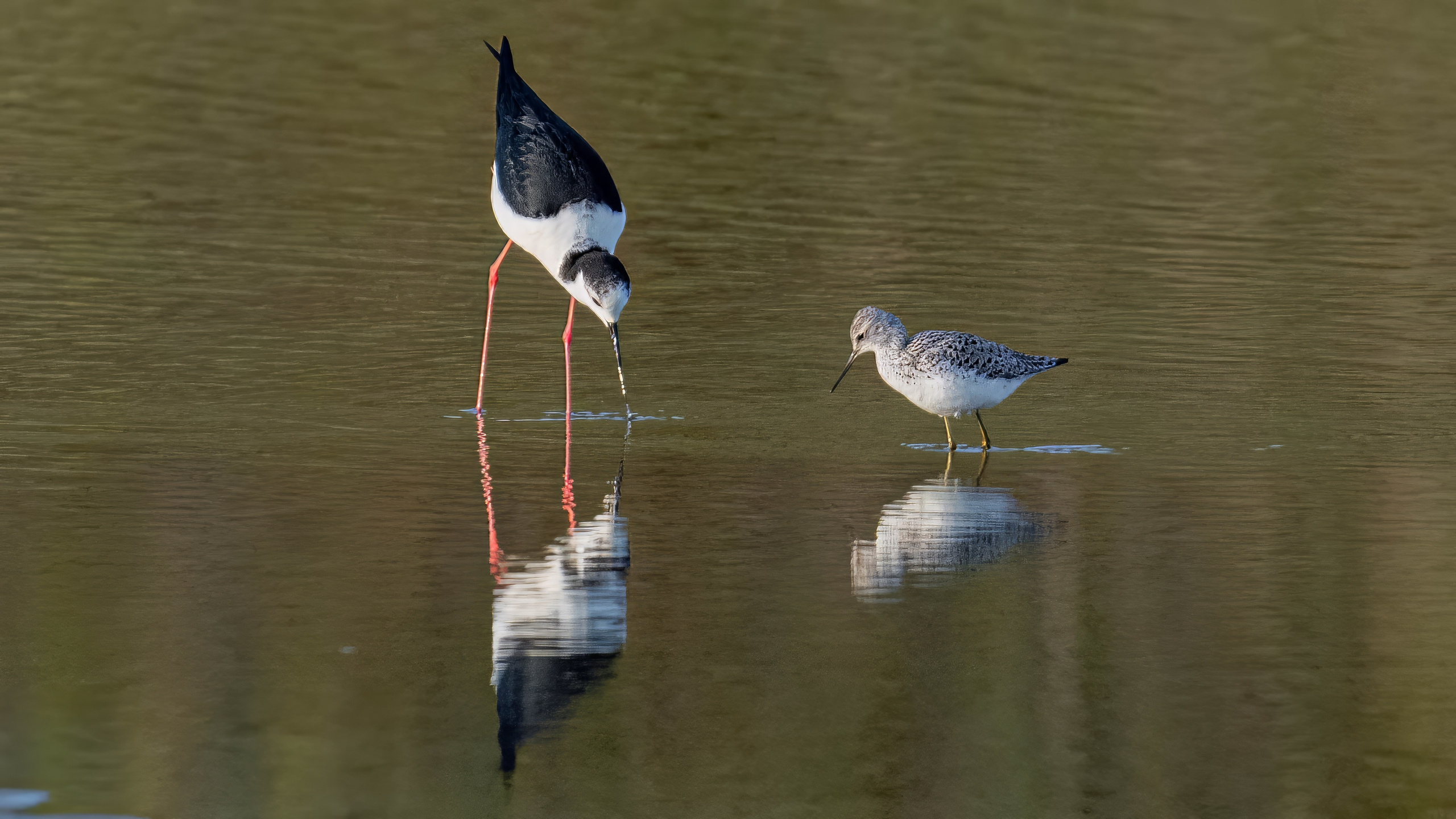 Портфолио. Фотограф и видеограф, видеомонтаж в Амурской области Игорь Иванов