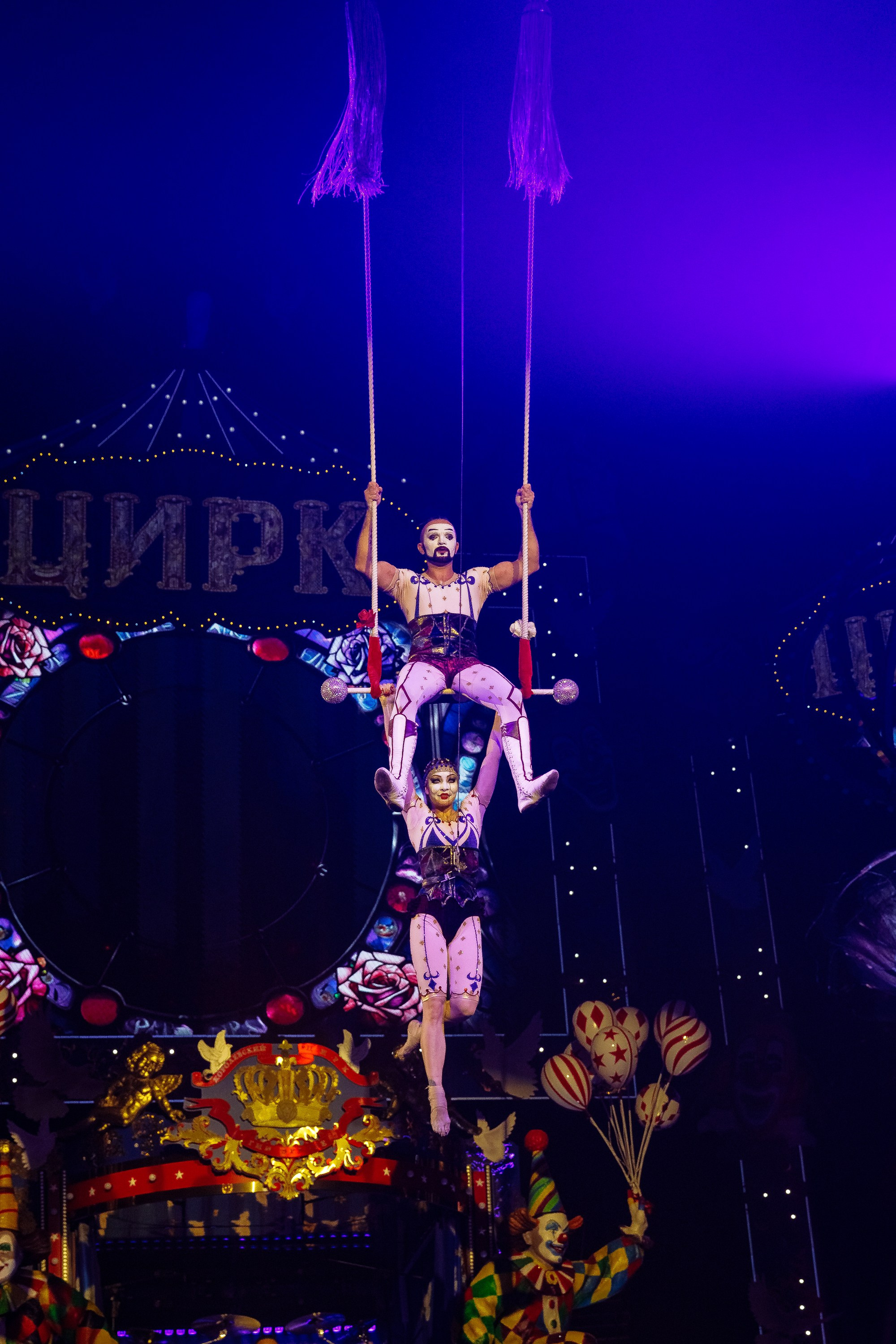 Сочинский росгорцирк Шоу Гии Эрадзе цирк. Профессиональный фотограф в Сочи Виктория Джой. Обучение