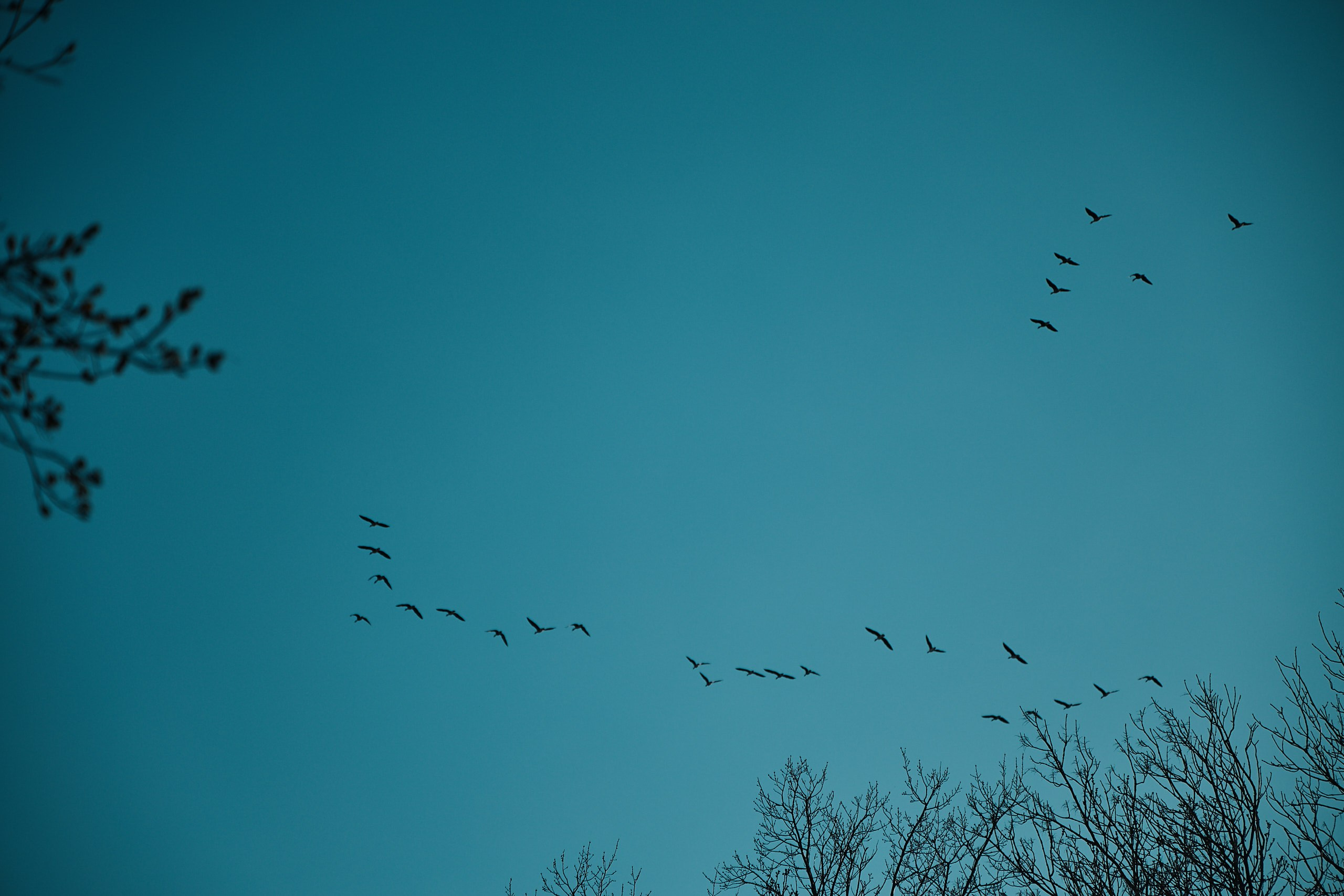 Прогулка по Царскому селу (Октябрьский бульвар). Фотограф Валерий Сабрам