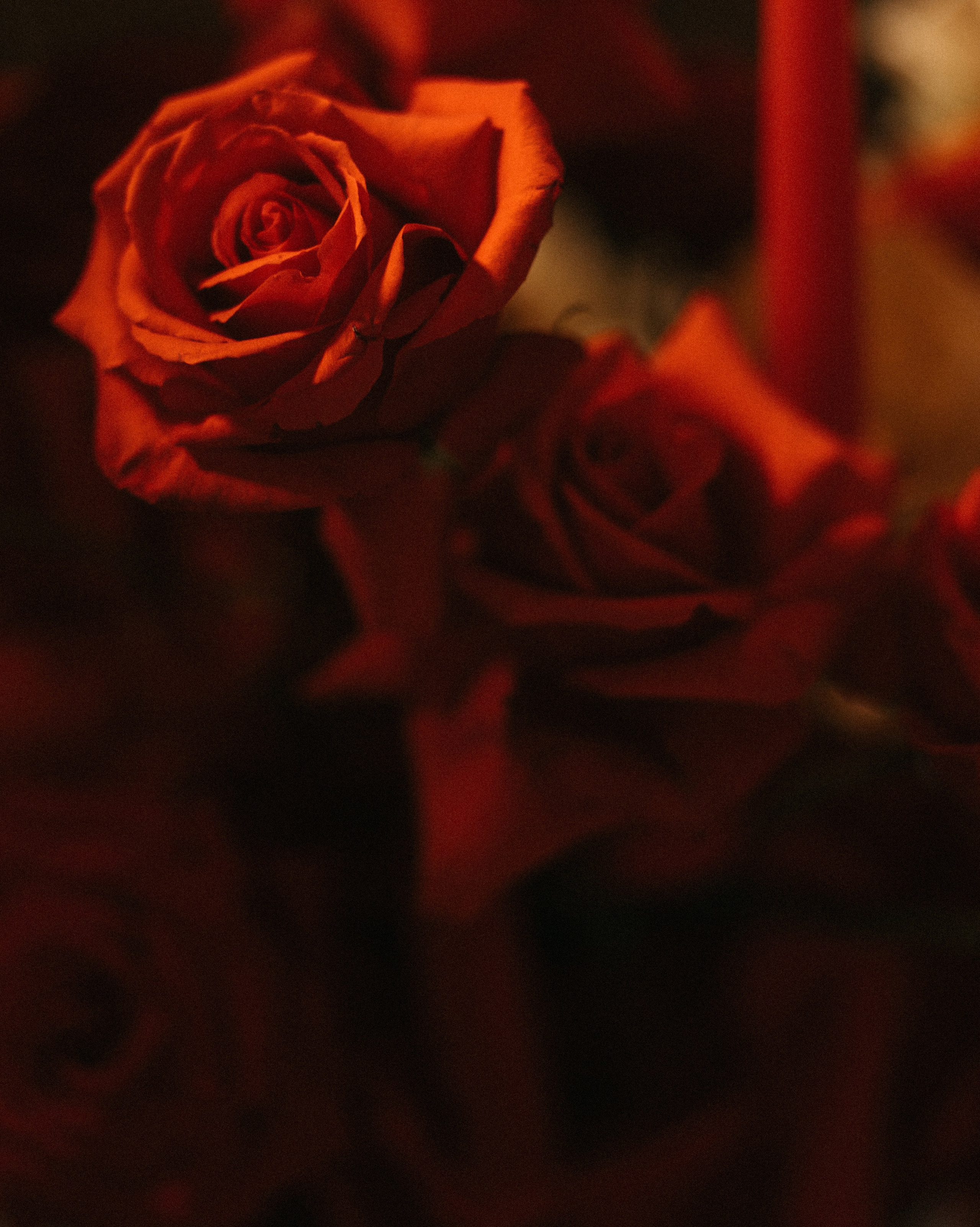 Еще глоток и мы горим. Свадебный фотограф в Москве Николай Болт