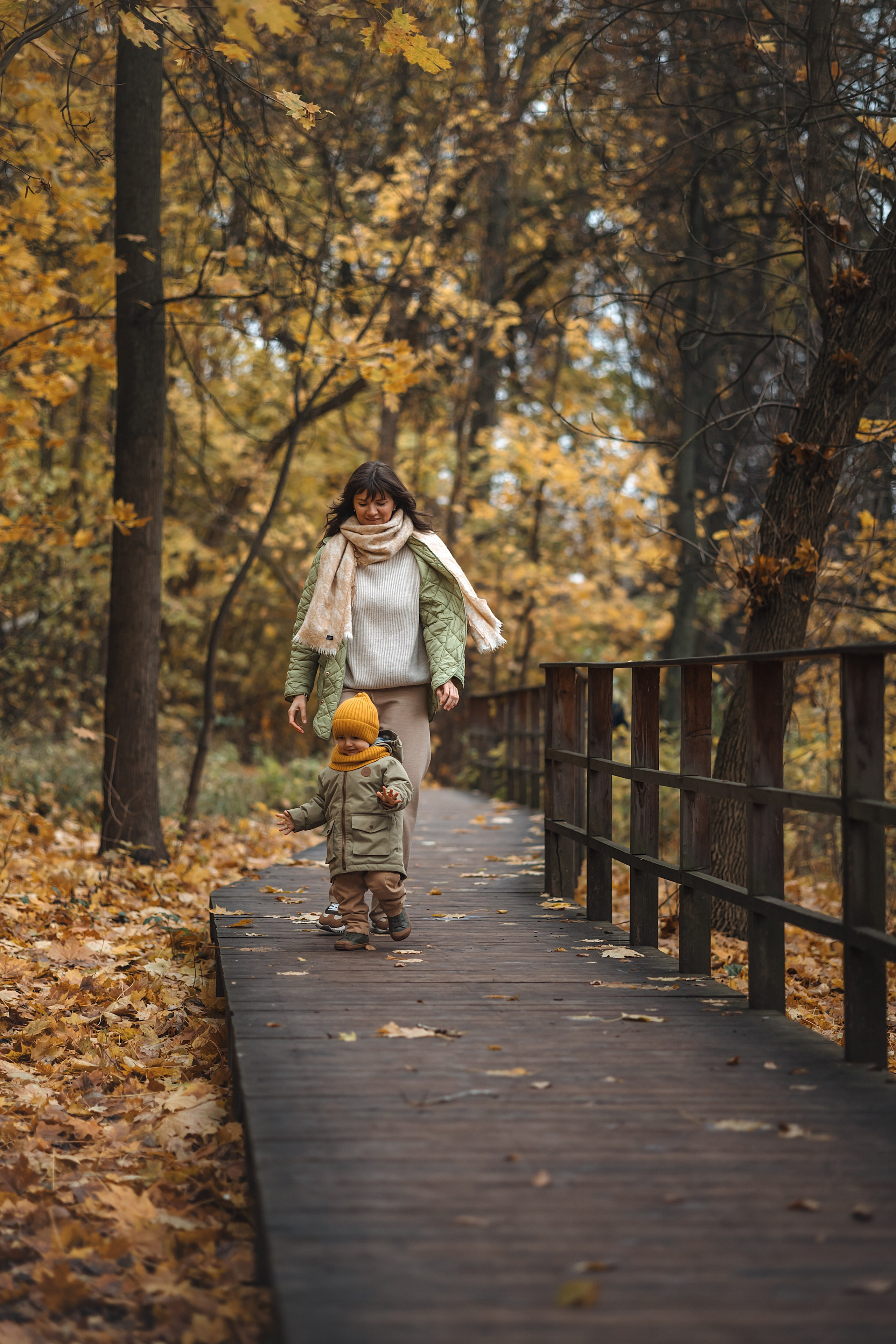 Осень в Нескучном саду (в обработке). Фотограф Анималист в Москве Анастасия Жучкова