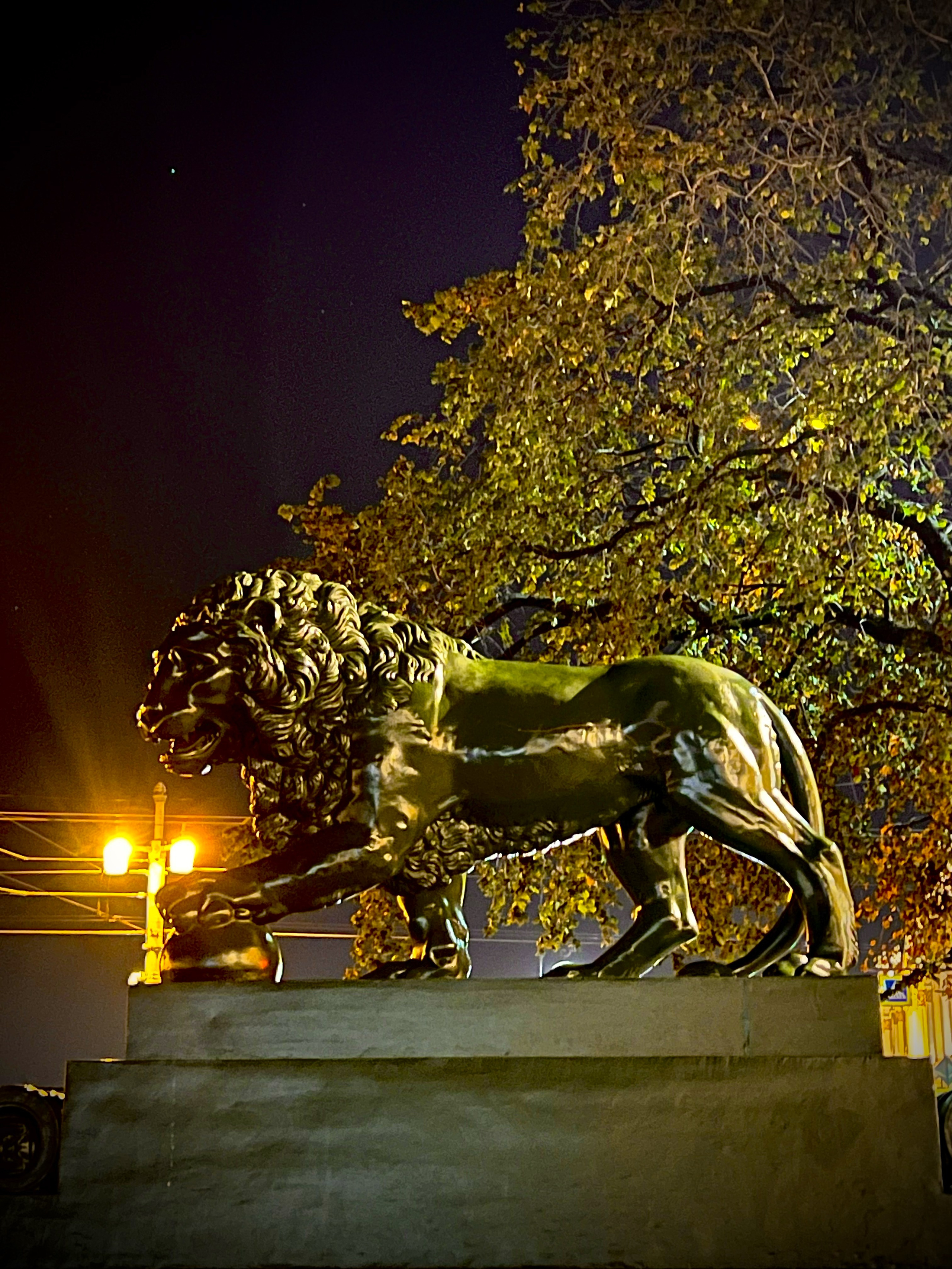 Снято на телефон. Фотография, ретушь, сканирование, восстановление старых фото, интерьерная съёмка, студия. Данилов Александр, Москва