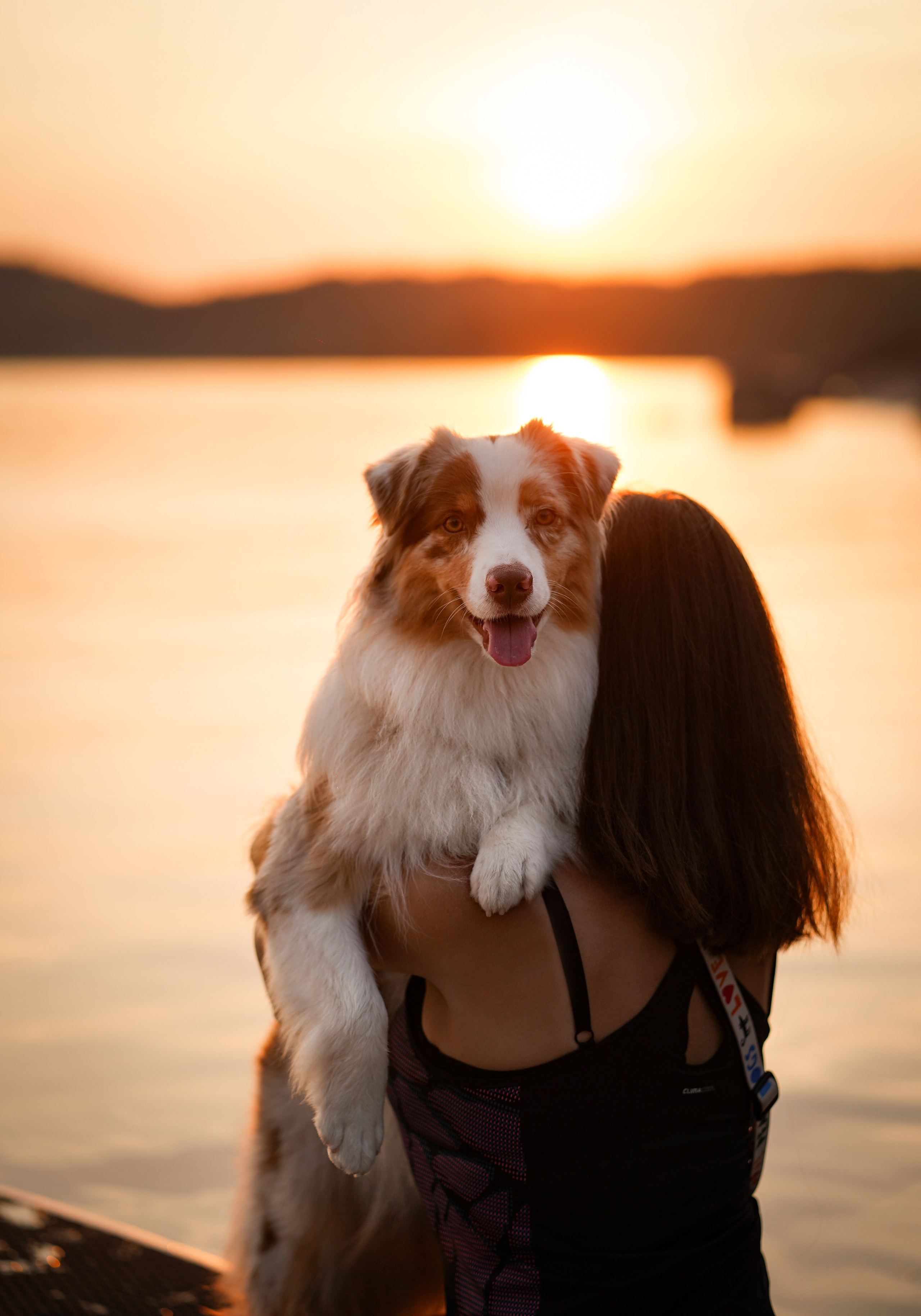 Панда SUP. Фотограф-анималист в Санкт-Петербурге Яна Мартынова