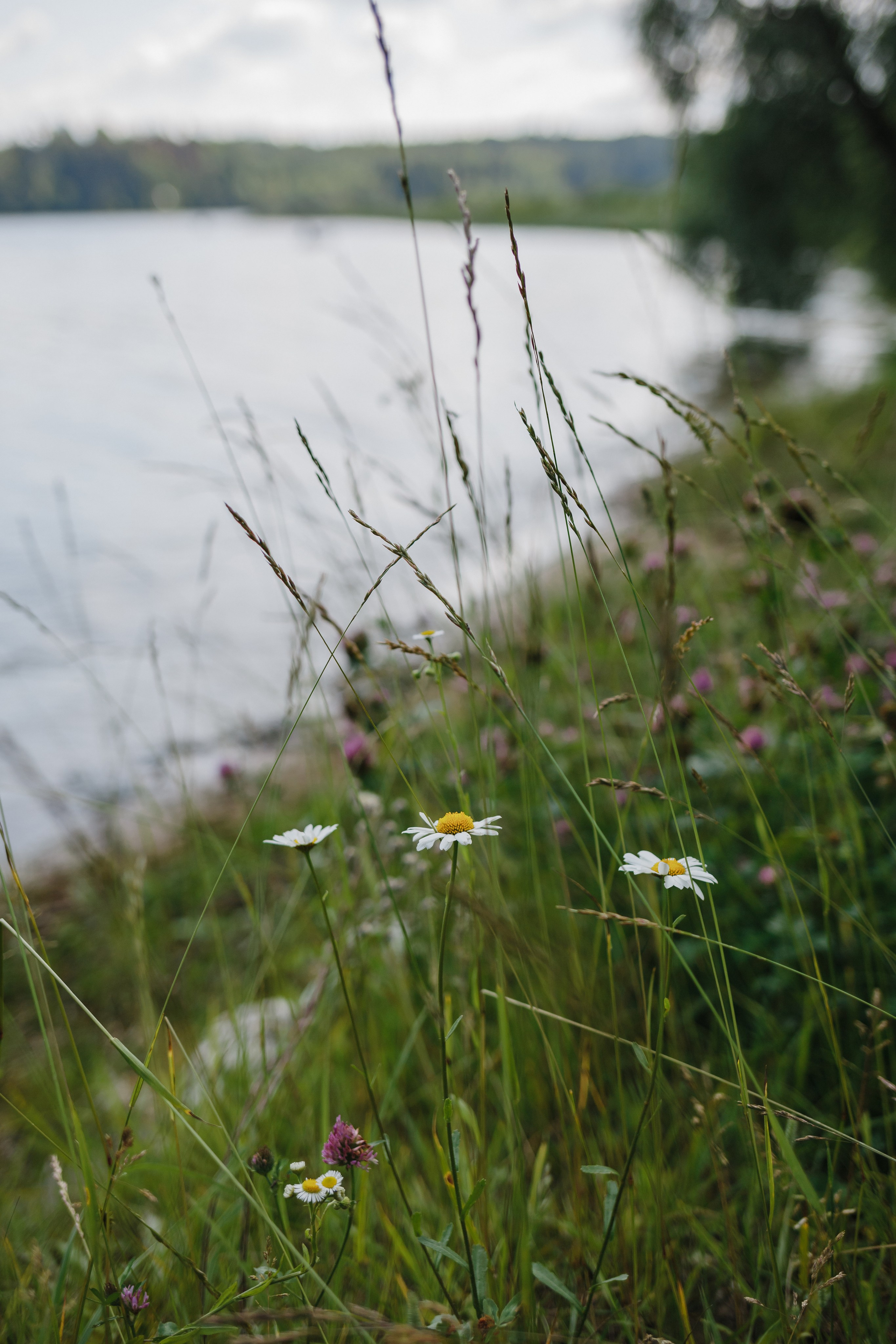 Крещение Ирины. Семейный фотограф Николаева Ольга