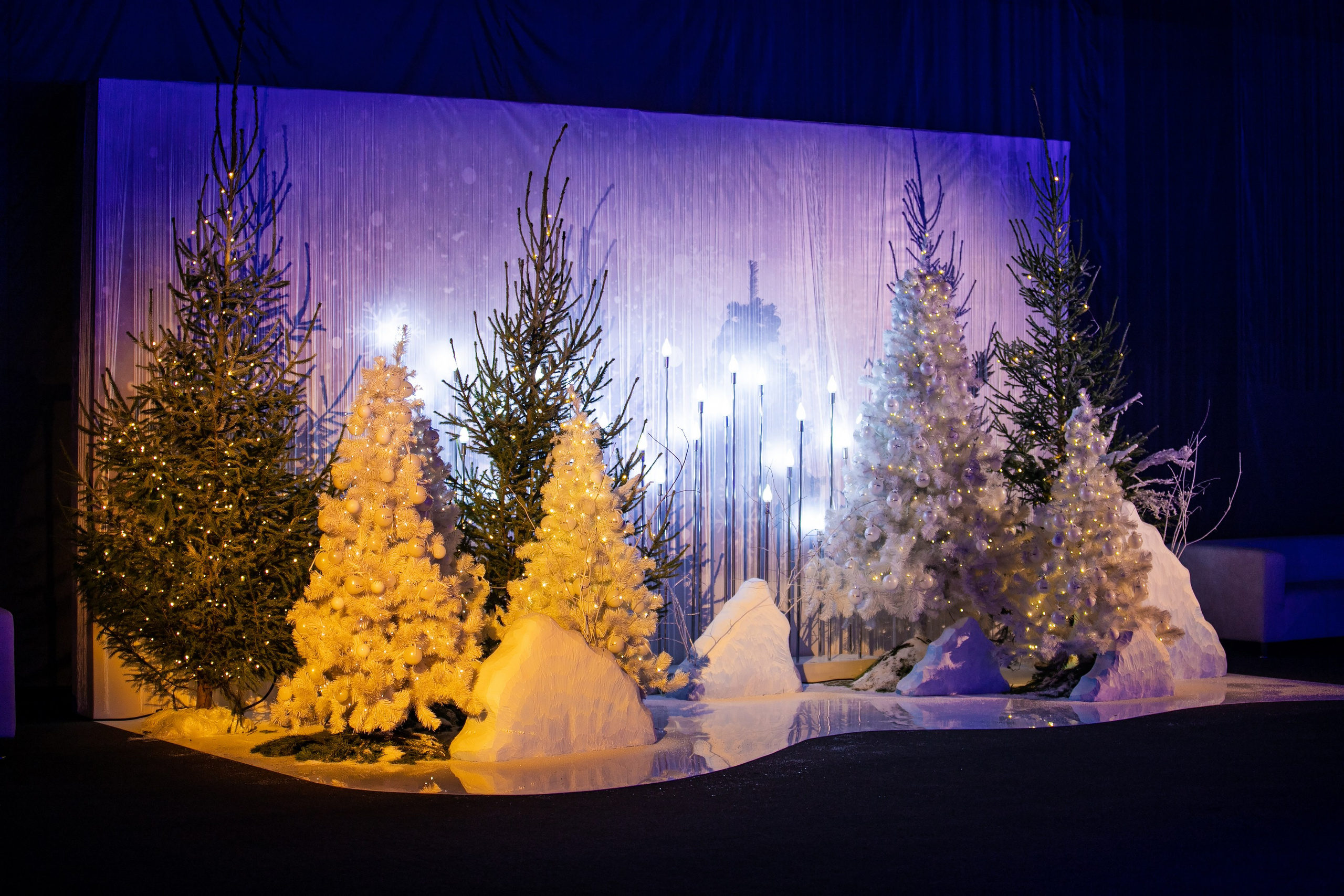 Роза Холл. Репортажный и fashion фотограф в Москве Сергей Бардин