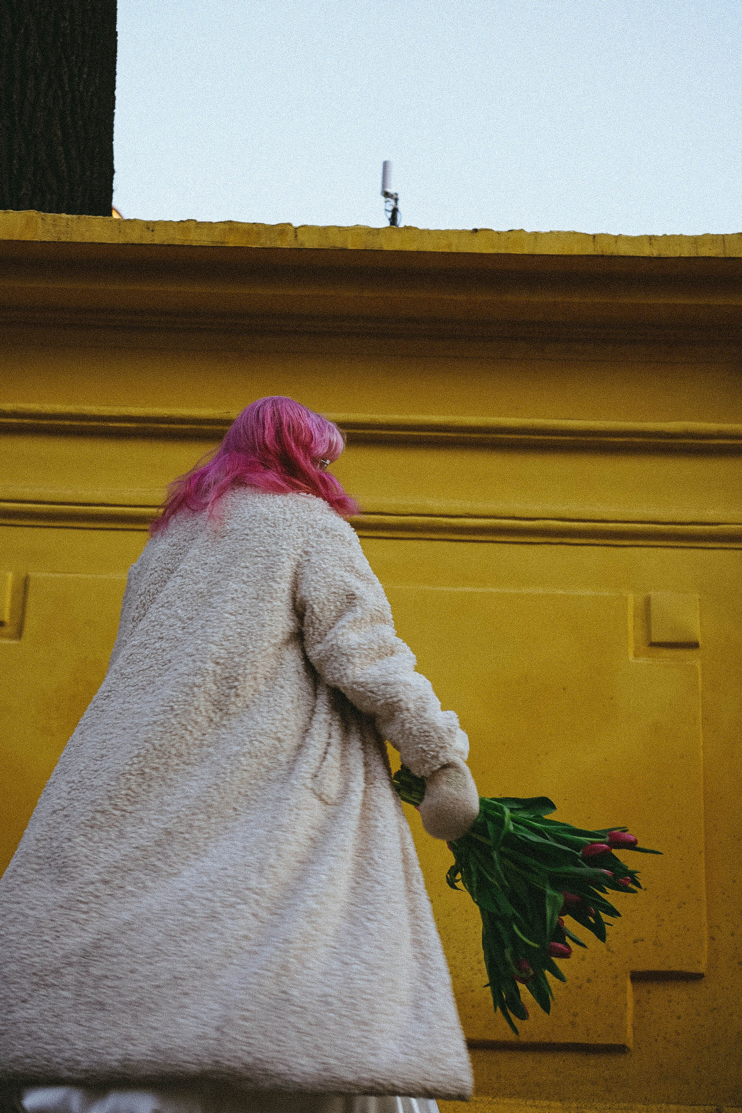 Прогулочная фотосессия с тюльпанами. Профессиональный фотограф, Санкт-Петербург — Виктория Богомолова