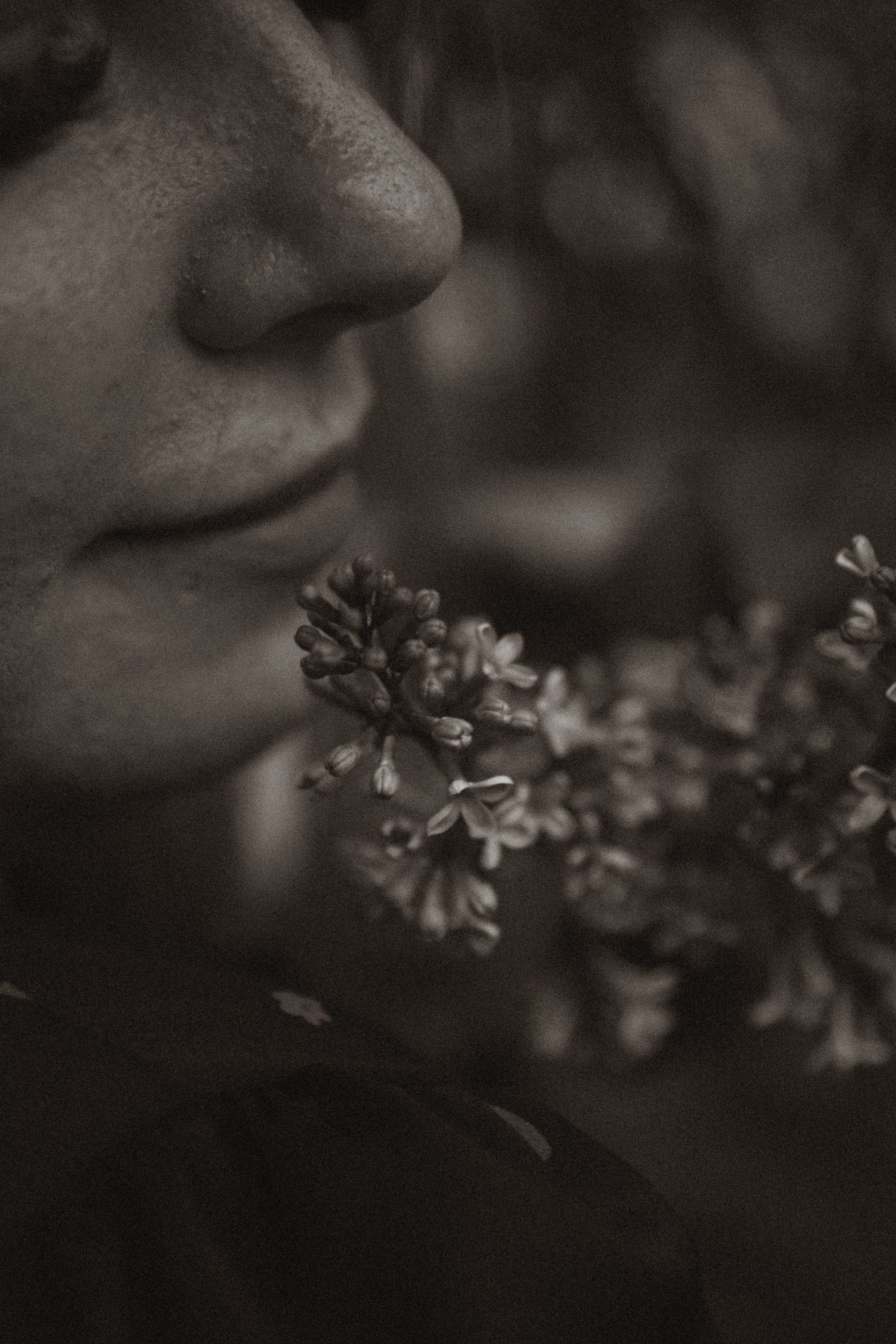 ПРОГУЛКА ВЕСНОЙ. Профессиональный фотограф, Санкт-Петербург — Виктория Богомолова