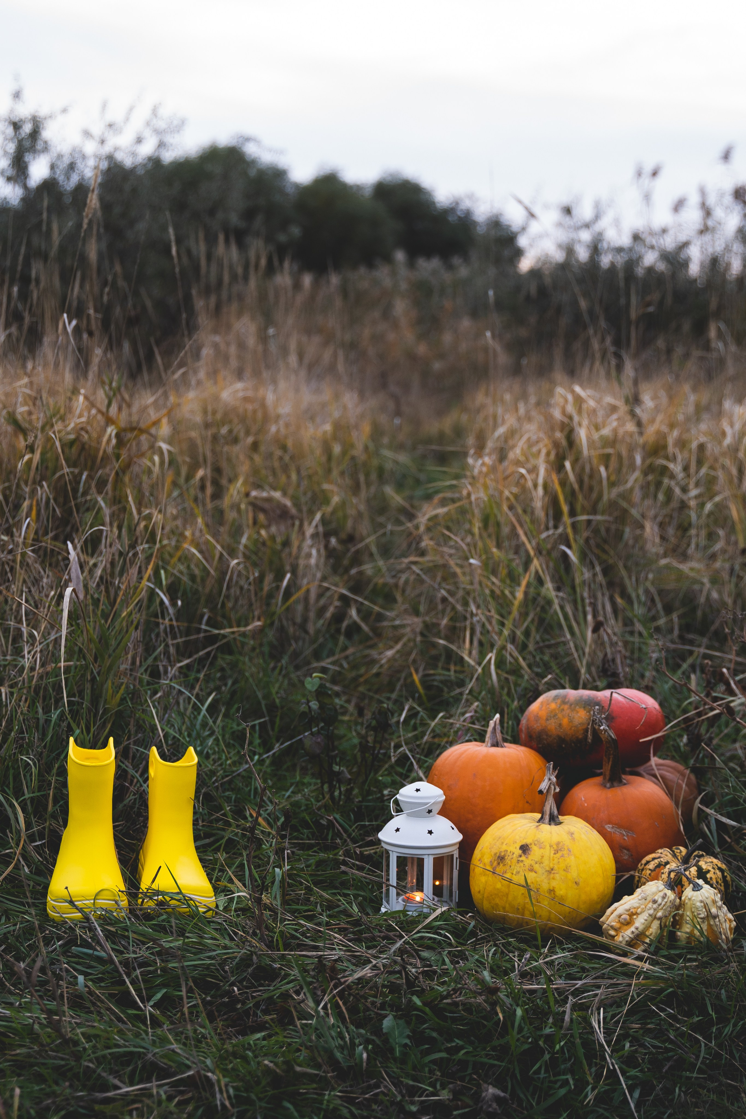 Halloween. Визуальный художник «Границы внутри»