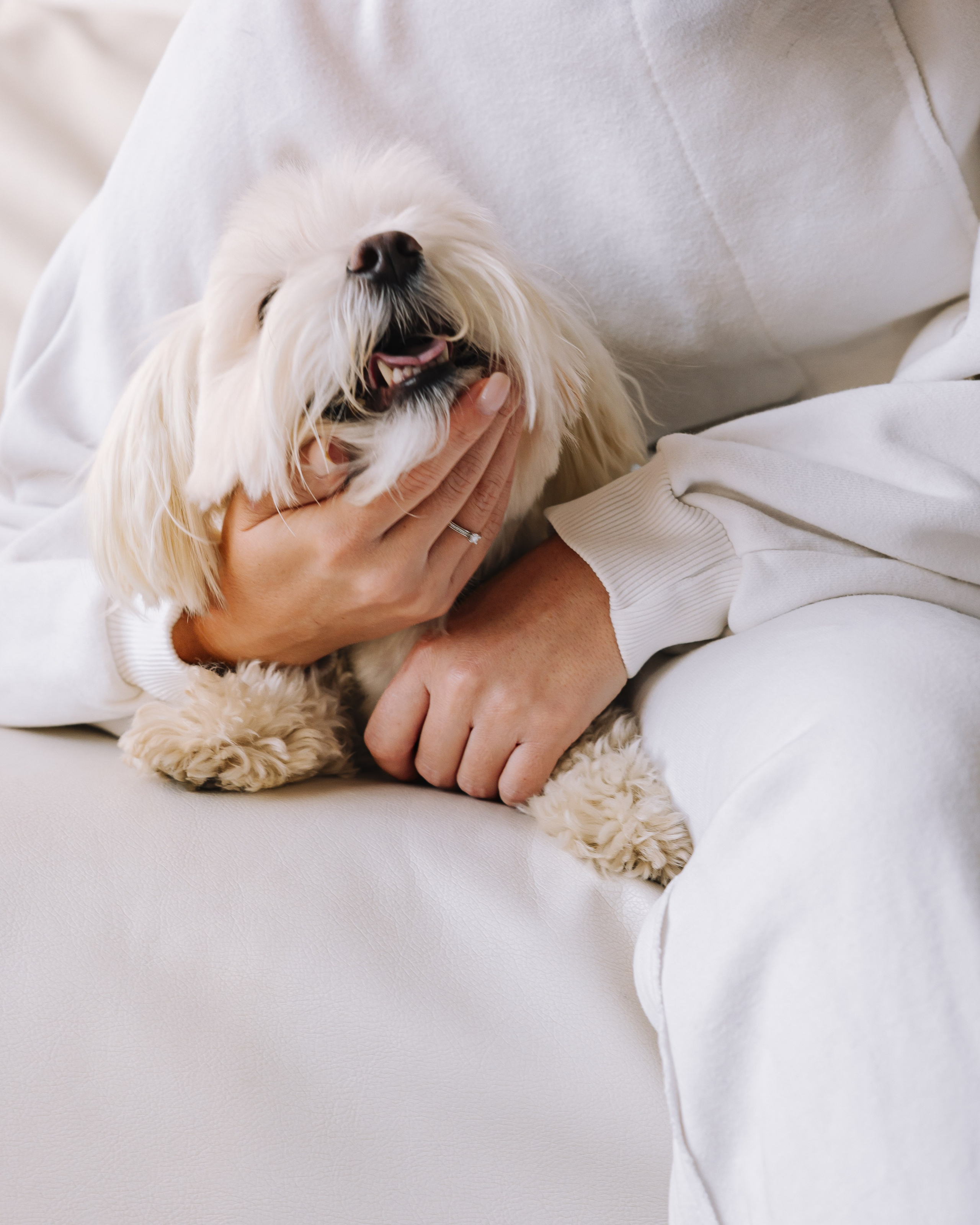 Ката и Лакки. Крылова Светлана Фотограф Челябинск