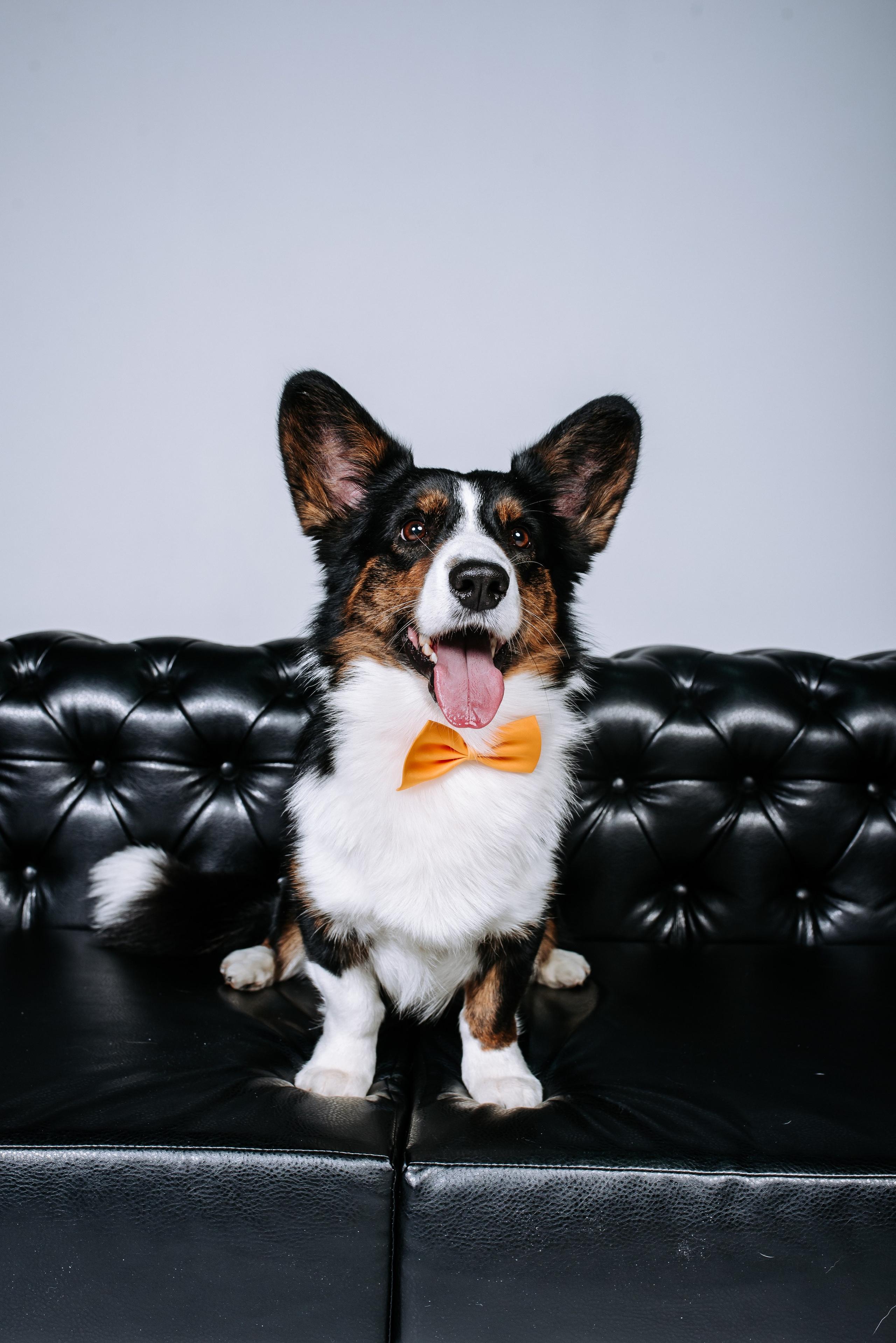 Контент-съемки. Фотограф Диана Оленина Красноярск / Братск