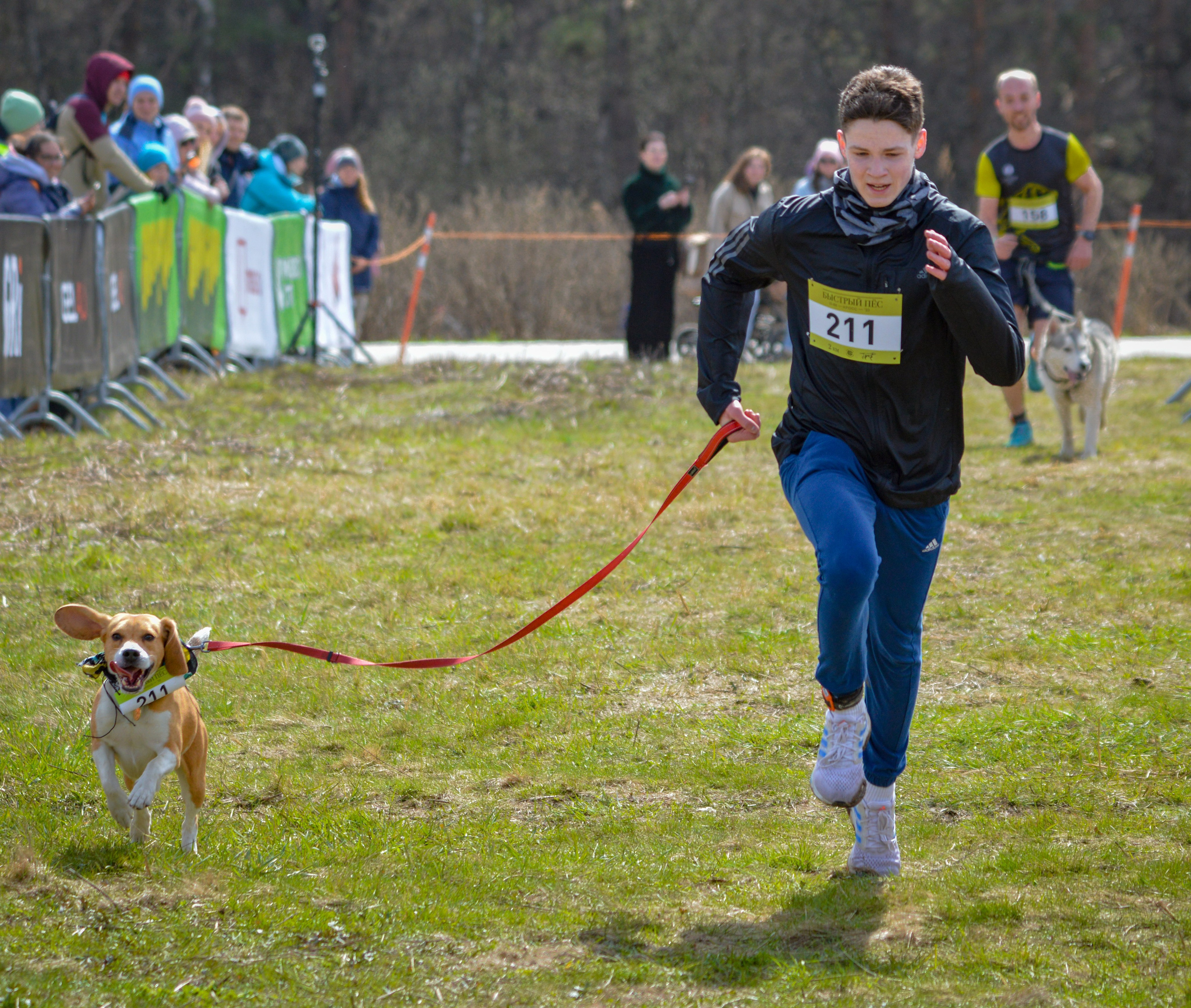 Кросс «Быстрый Пёс» — 15.04.2023. AlexFecto — галереи фотографий