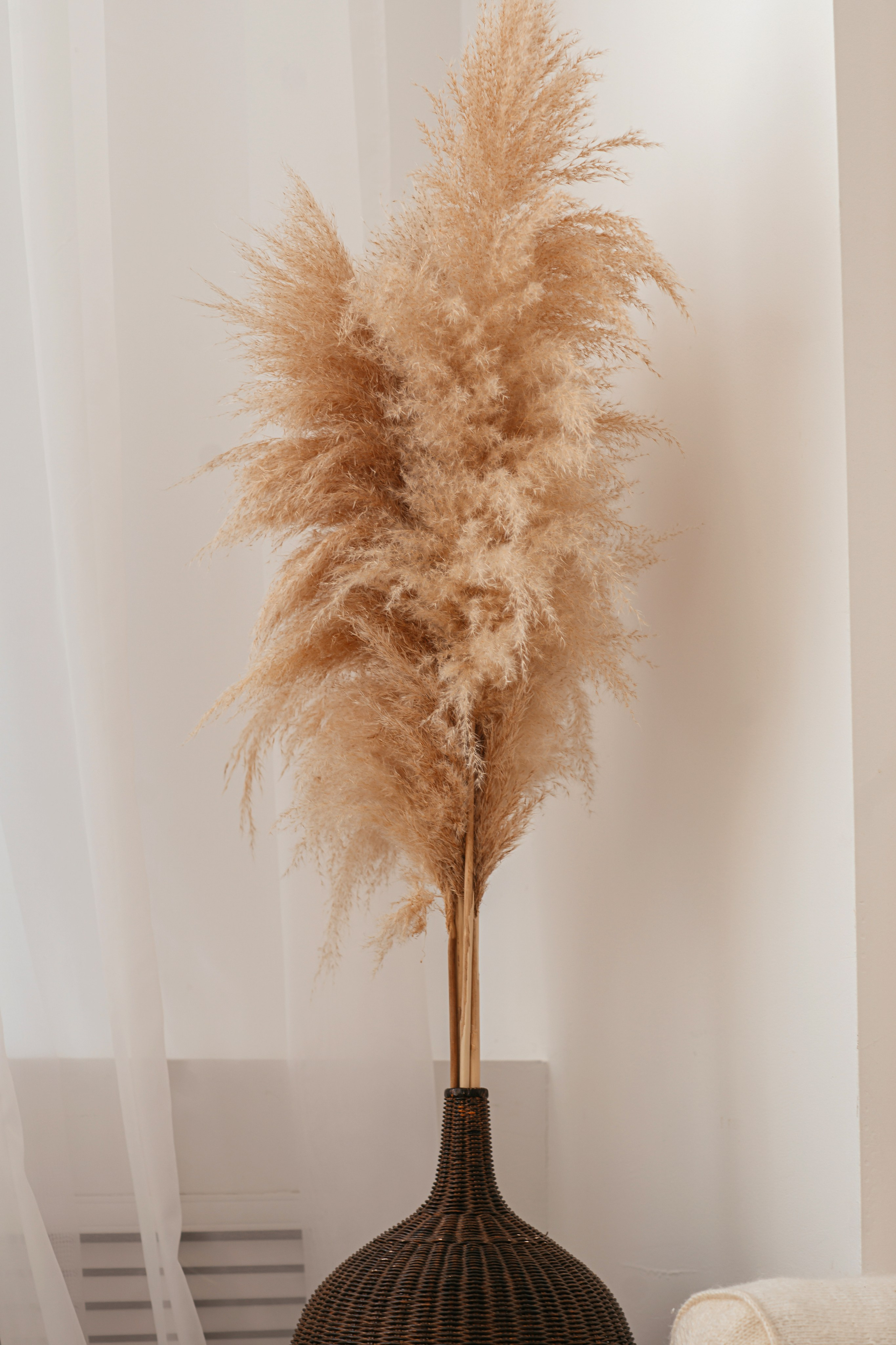 «Зерна». Свадебный семейный и детский фотограф в Краснодаре Карина Федоровская