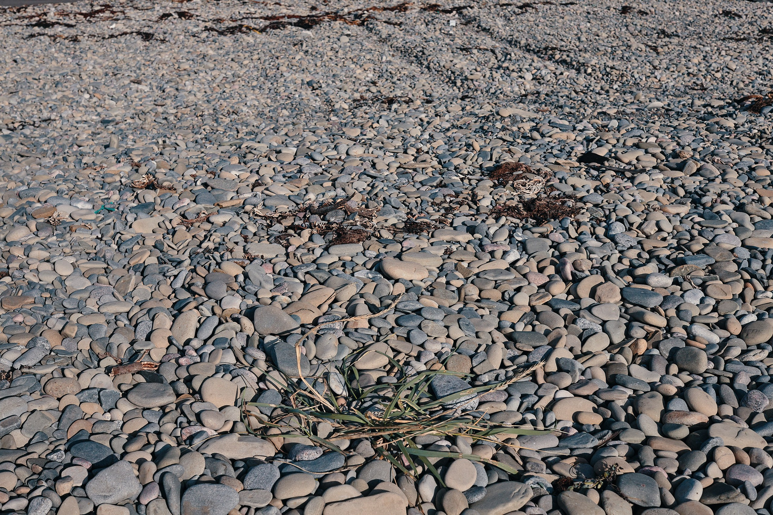 Рыбачий 2023. Место силы. Фотограф Валерий Сабрам