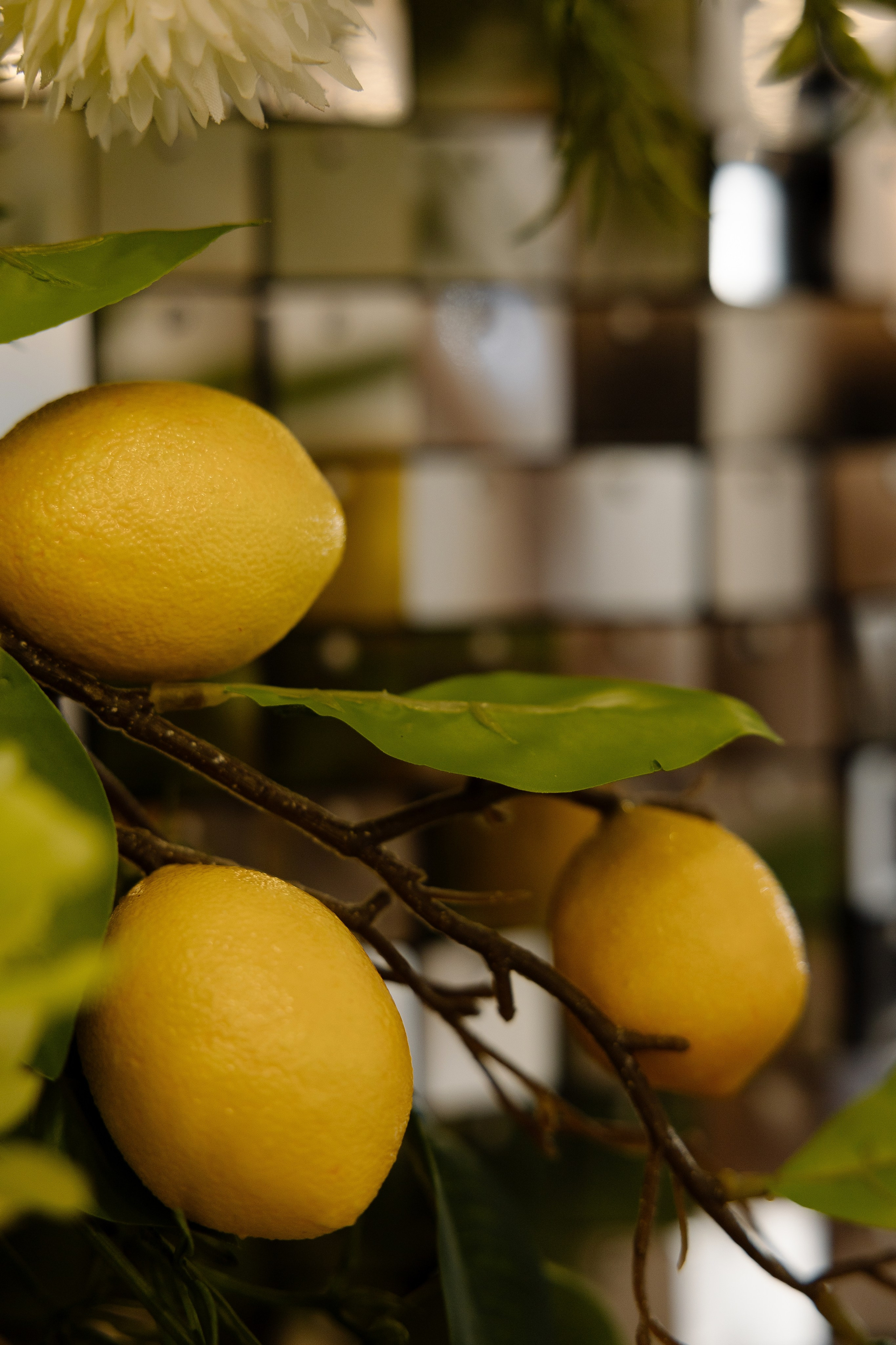 Сергей&Анна. Свадебный и семейный фотограф