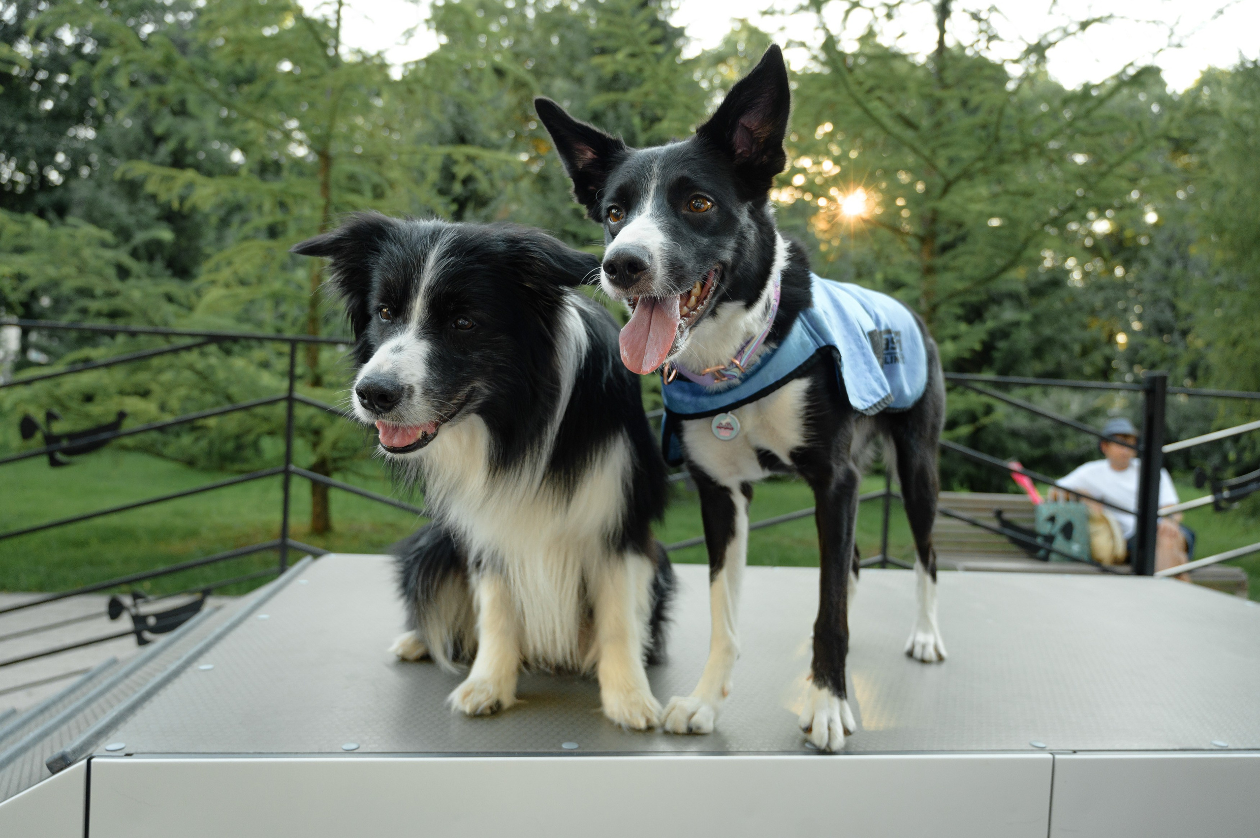 Московский Урбанистический Форум 2023. РЕПОРТАЖНЫЙ И БИЗНЕС ФОТОГРАФ В МОСКВЕ, ЕГОР НИКОЛАЕВ