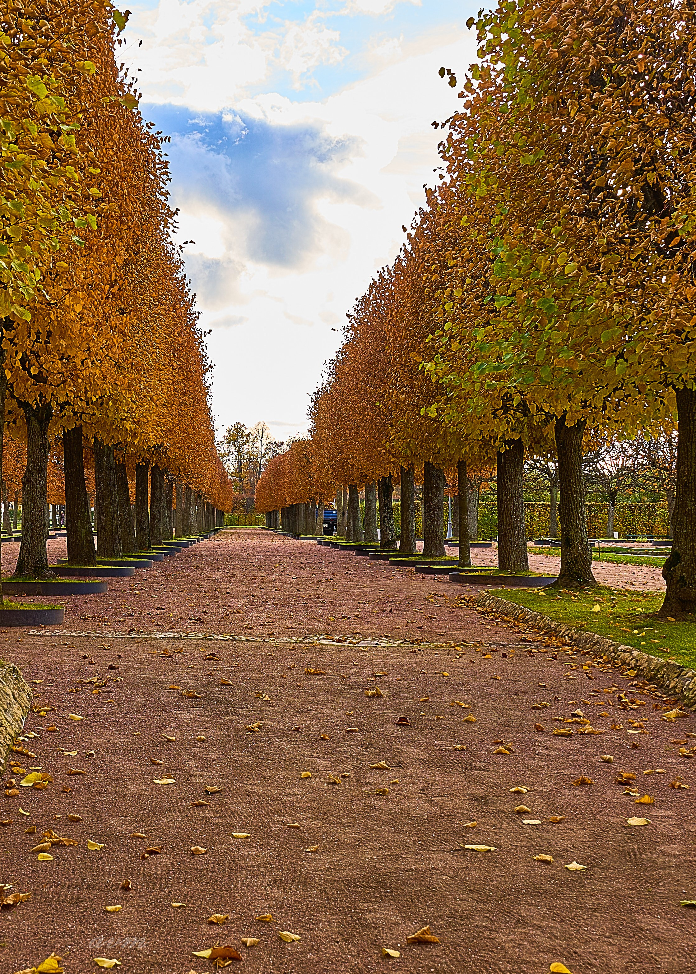 Петергоф. Фотограф Михеев Андрей