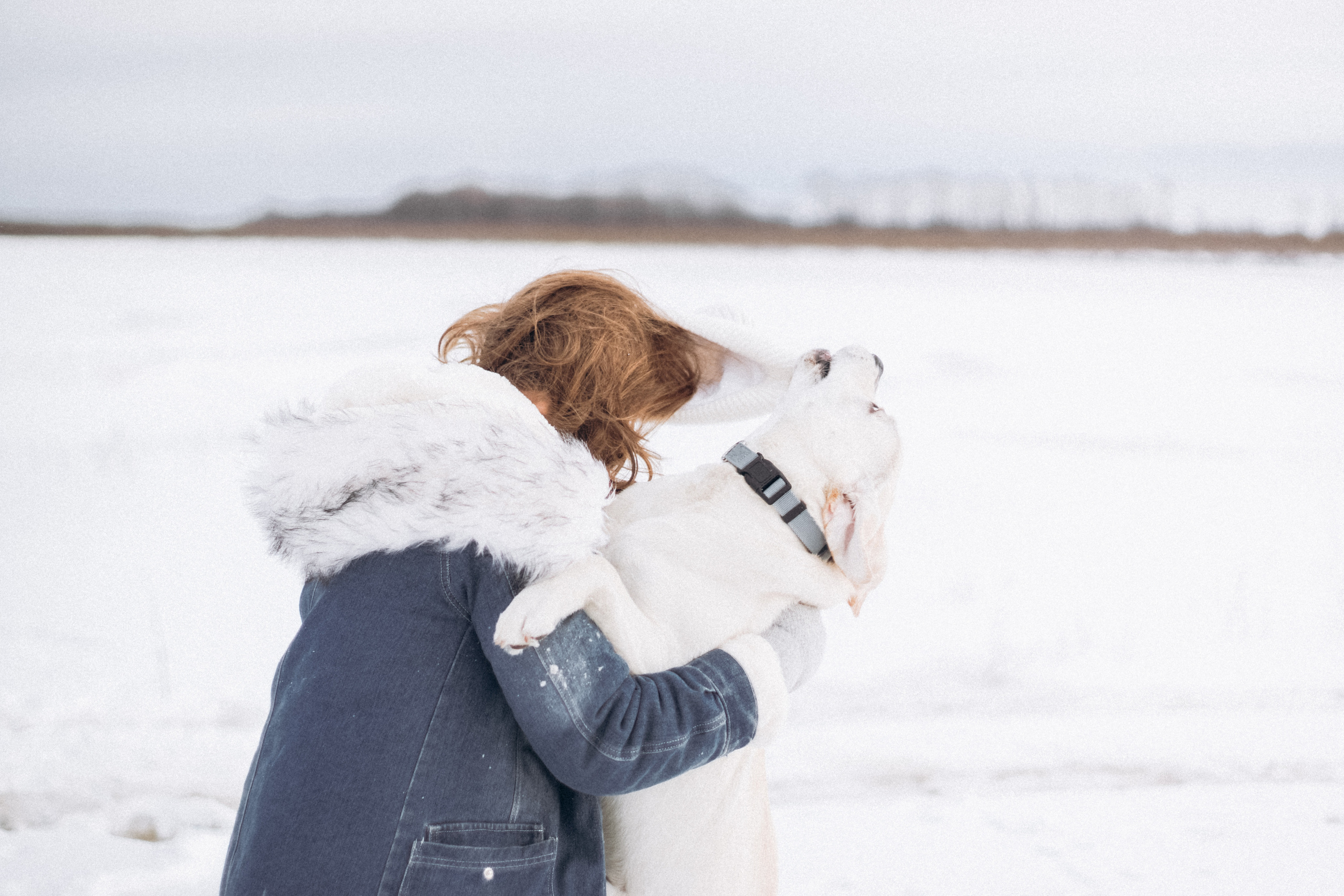 Таня и Отис. Свадебный и семейный фотограф Томск| Юлия Филатова