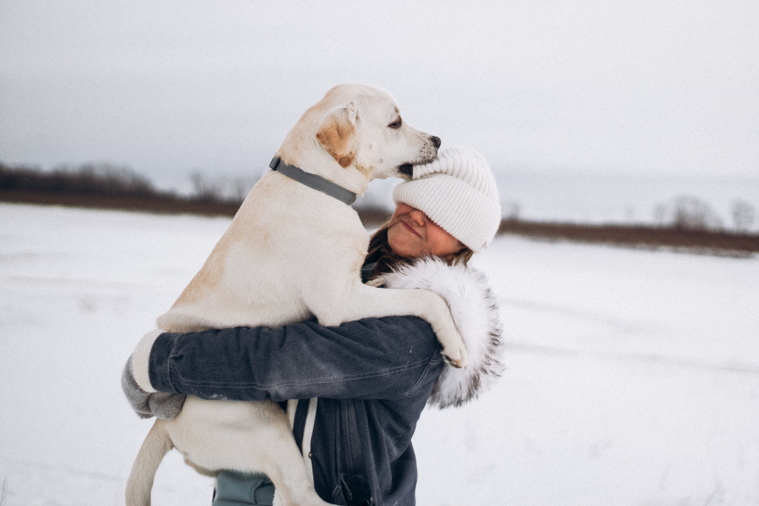 Таня и Отис. Свадебный и семейный фотограф Томск| Юлия Филатова