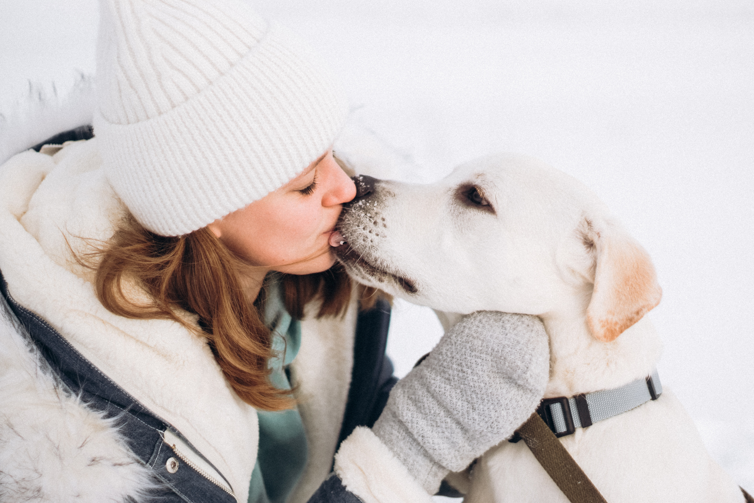 Таня и Отис. Свадебный и семейный фотограф Томск| Юлия Филатова