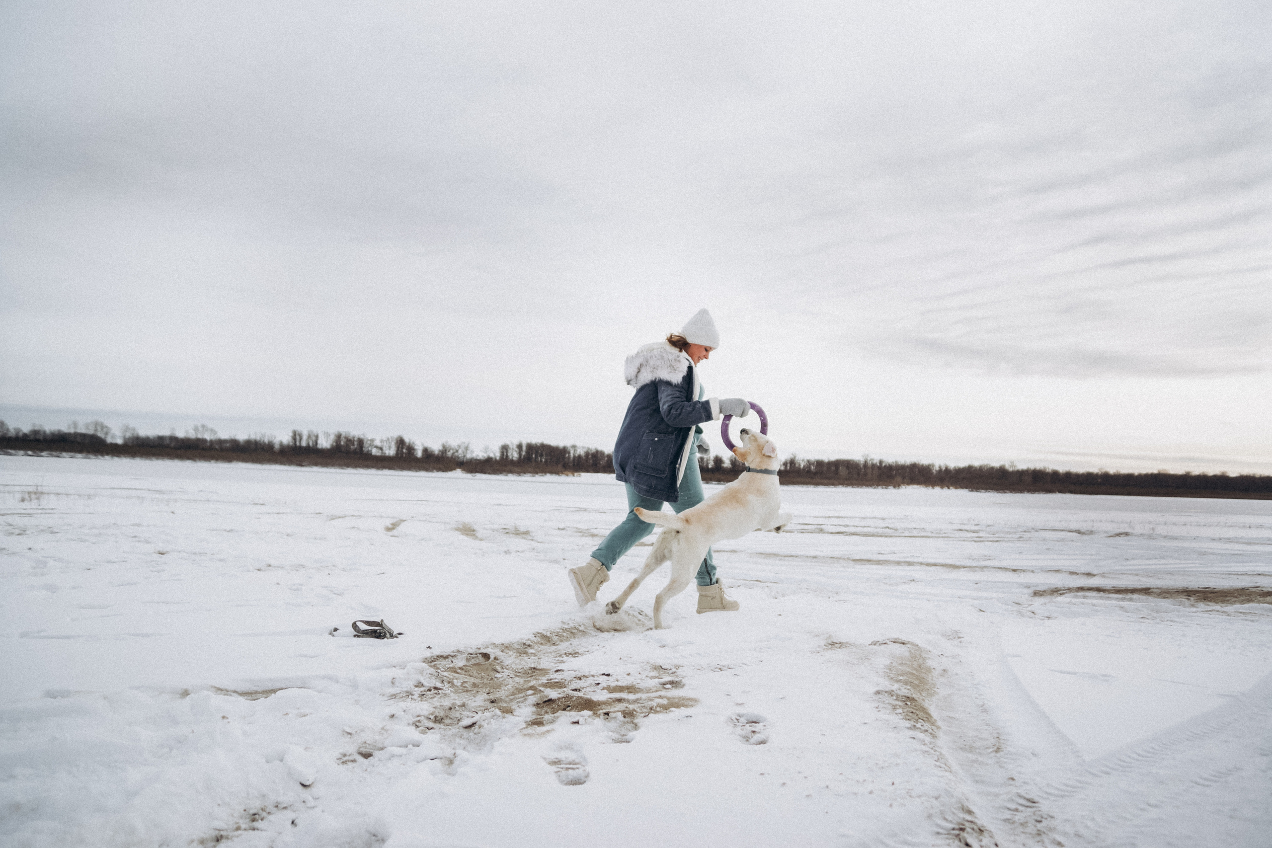 Таня и Отис. Свадебный и семейный фотограф Томск| Юлия Филатова