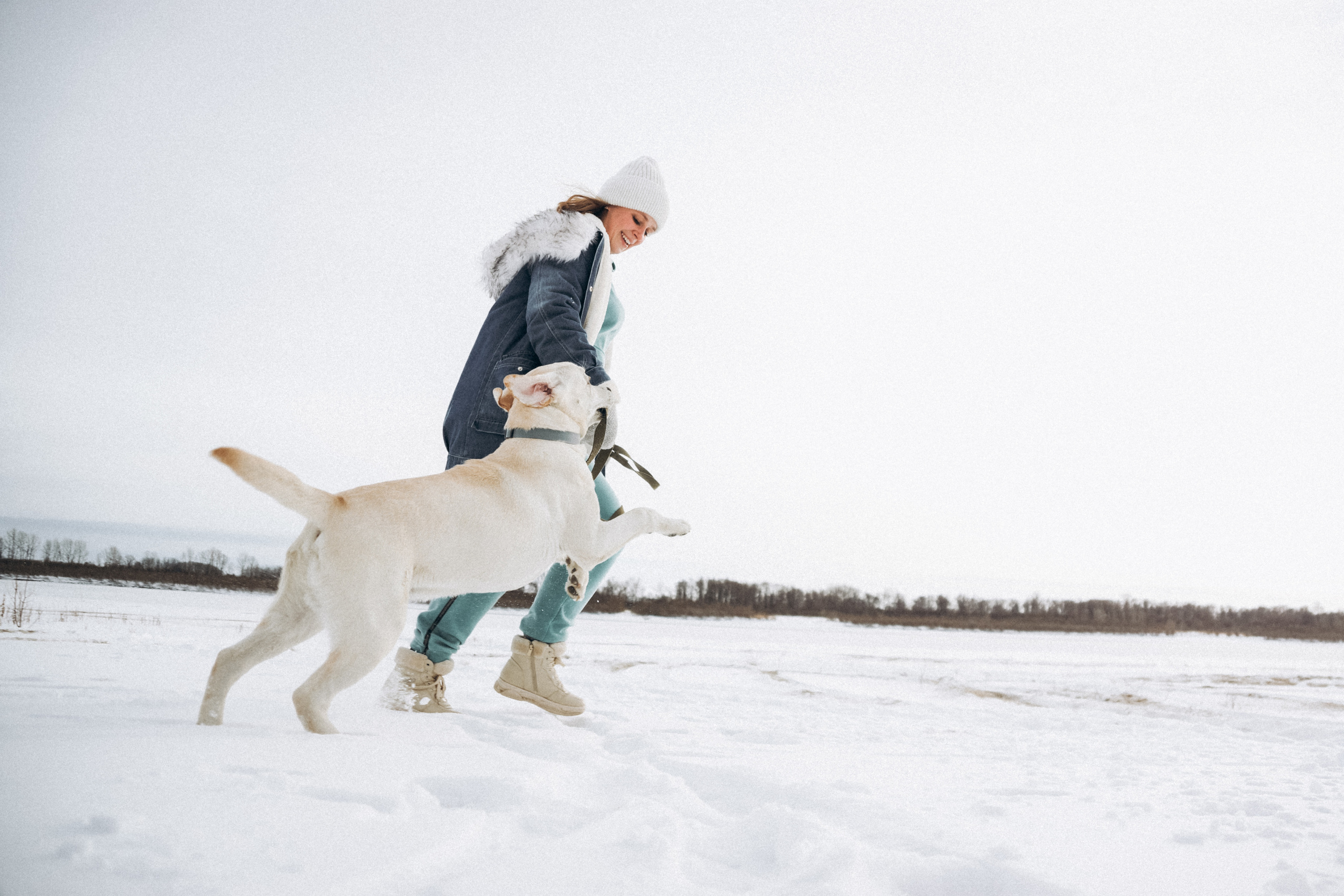 Таня и Отис. Свадебный и семейный фотограф Томск| Юлия Филатова