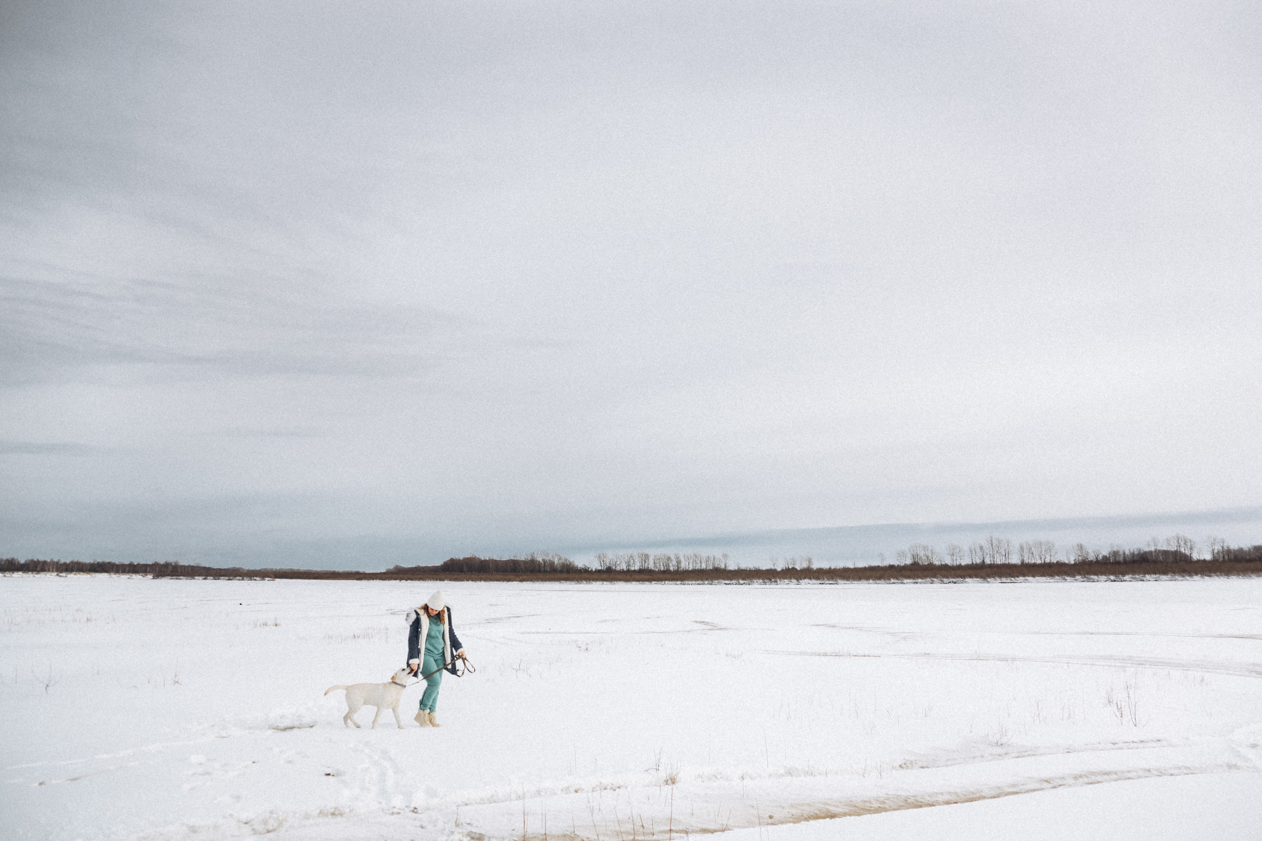 Таня и Отис. Свадебный и семейный фотограф Томск| Юлия Филатова