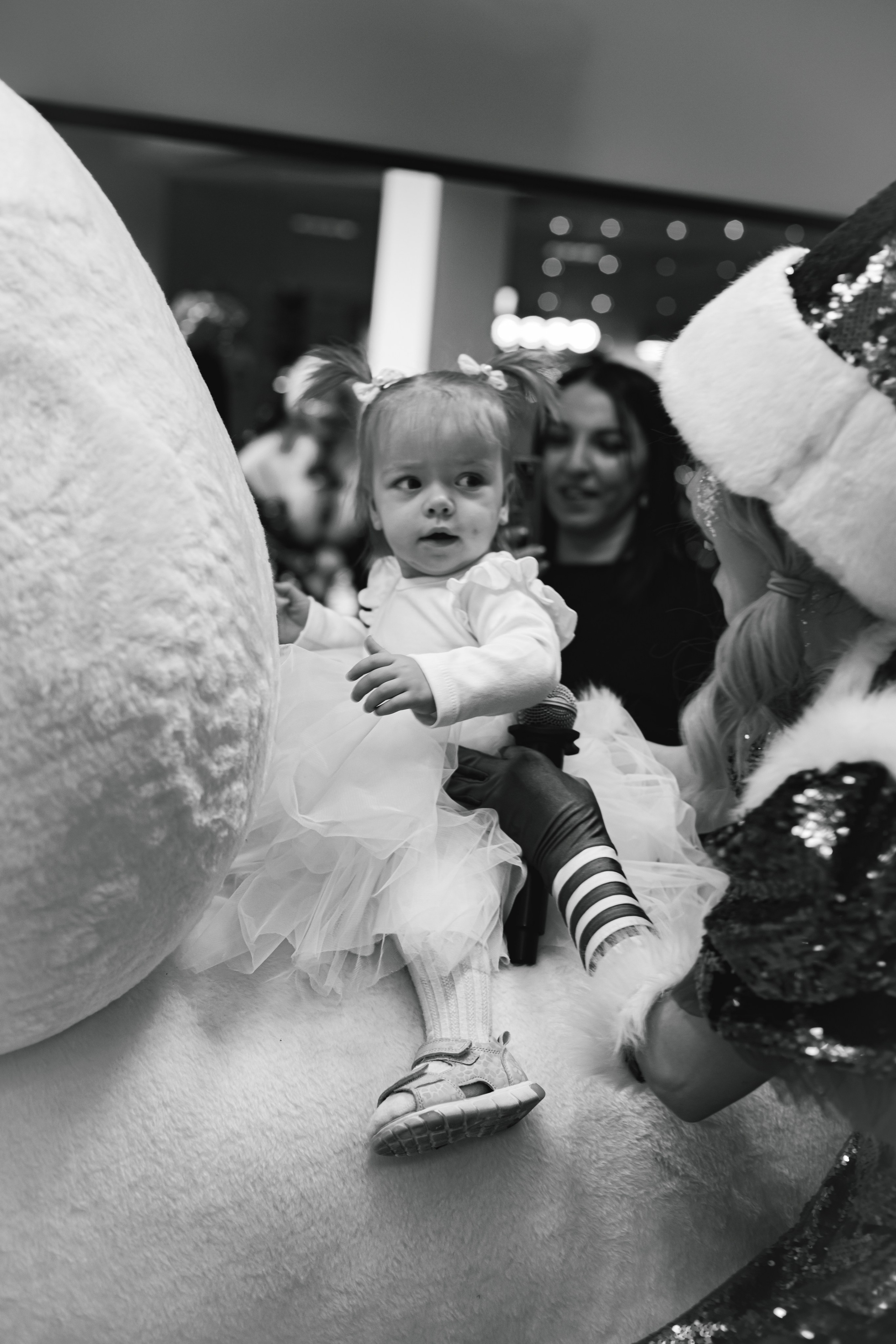 Happy new year. Photokarish