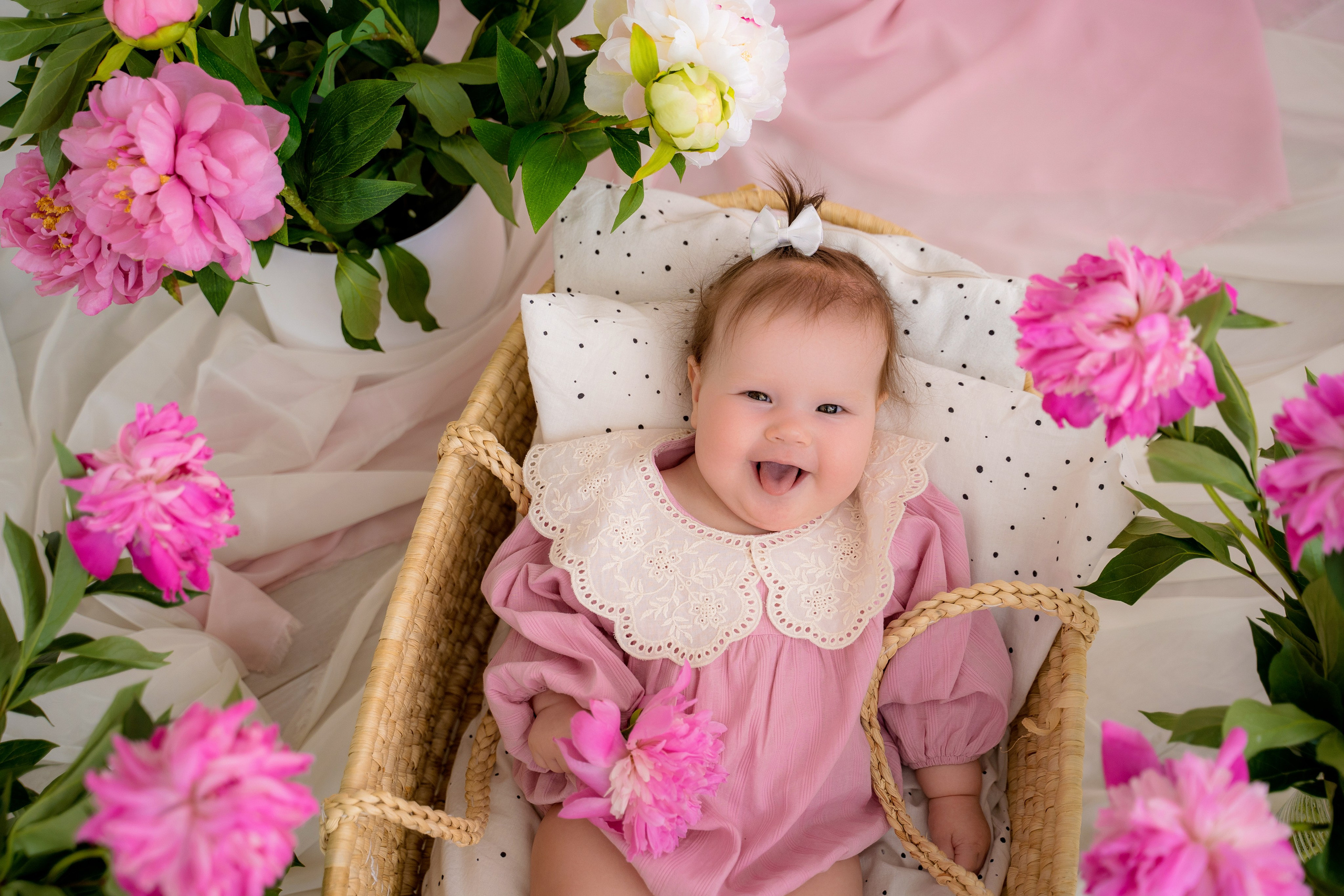 Пионы. Фотостудия Малина в городе Улан-Удэ. Фотограф Ирина Жарникова